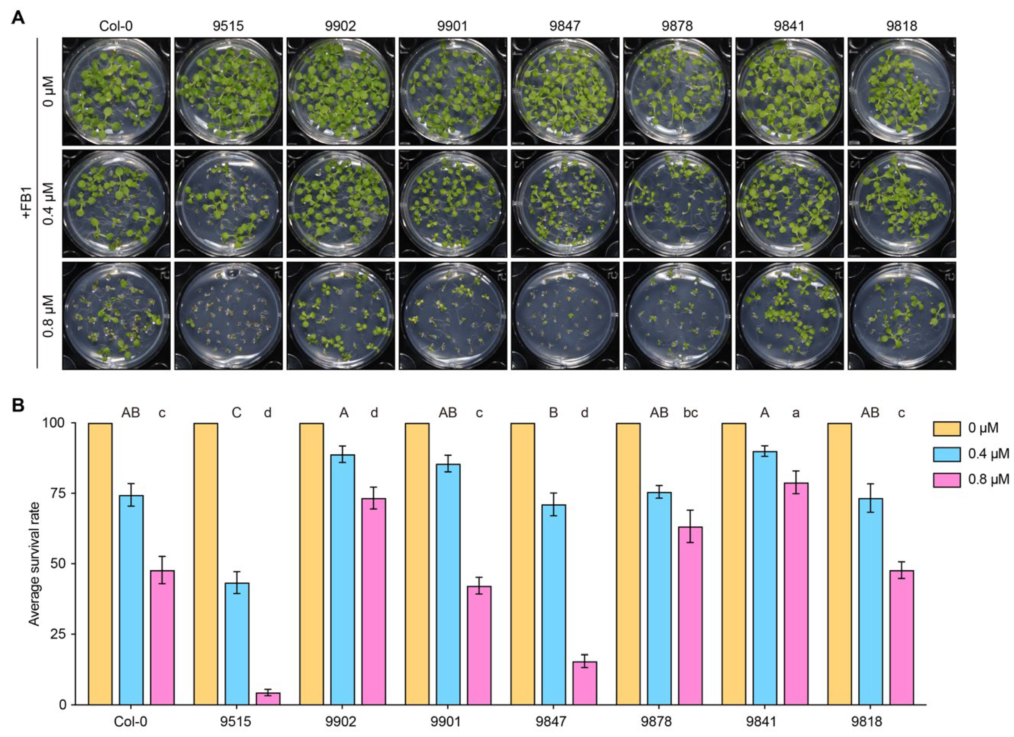 Genes 17 00348 g001 Genes 17 00348 g001