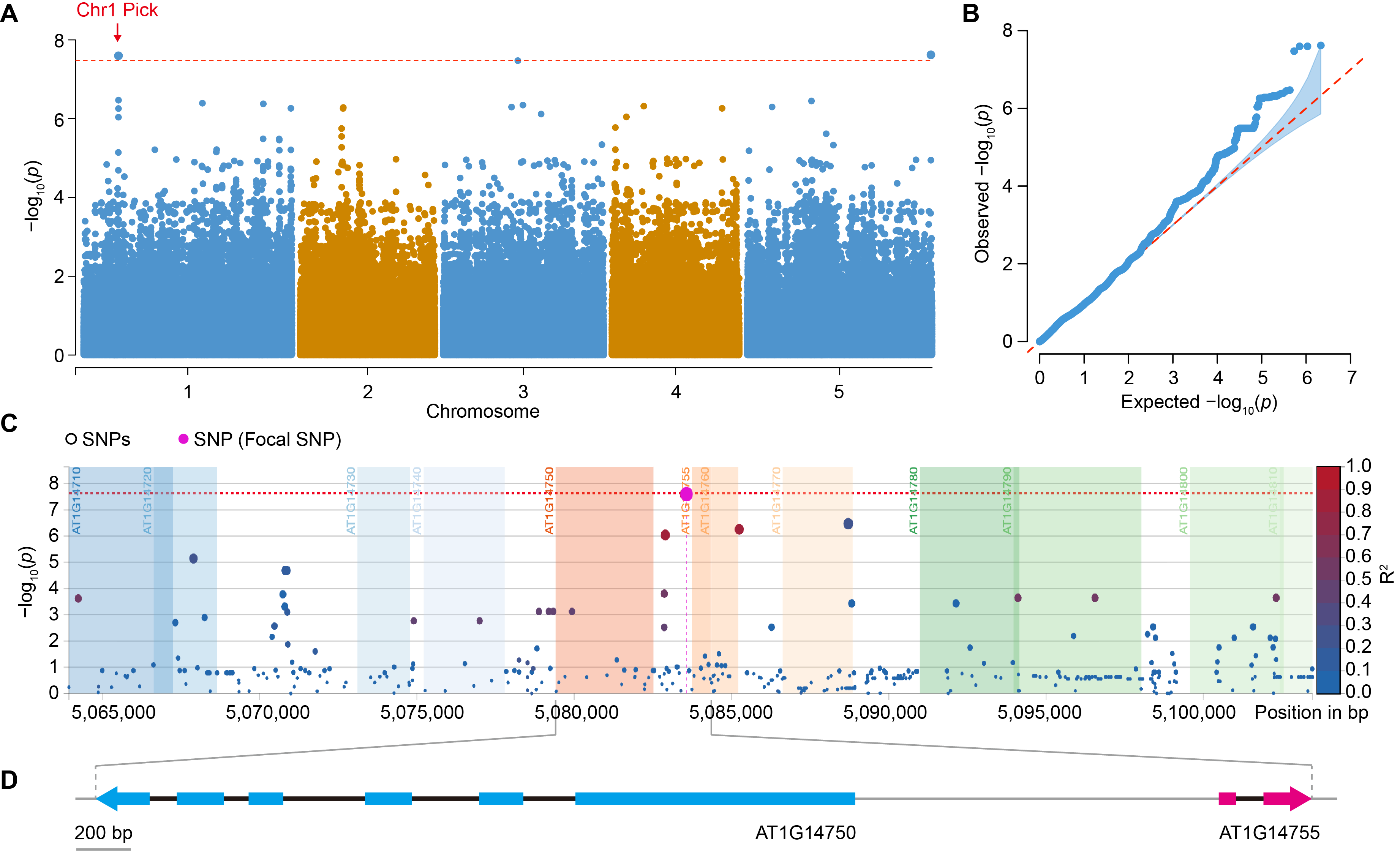 Genes 17 00348 g002 Genes 17 00348 g002