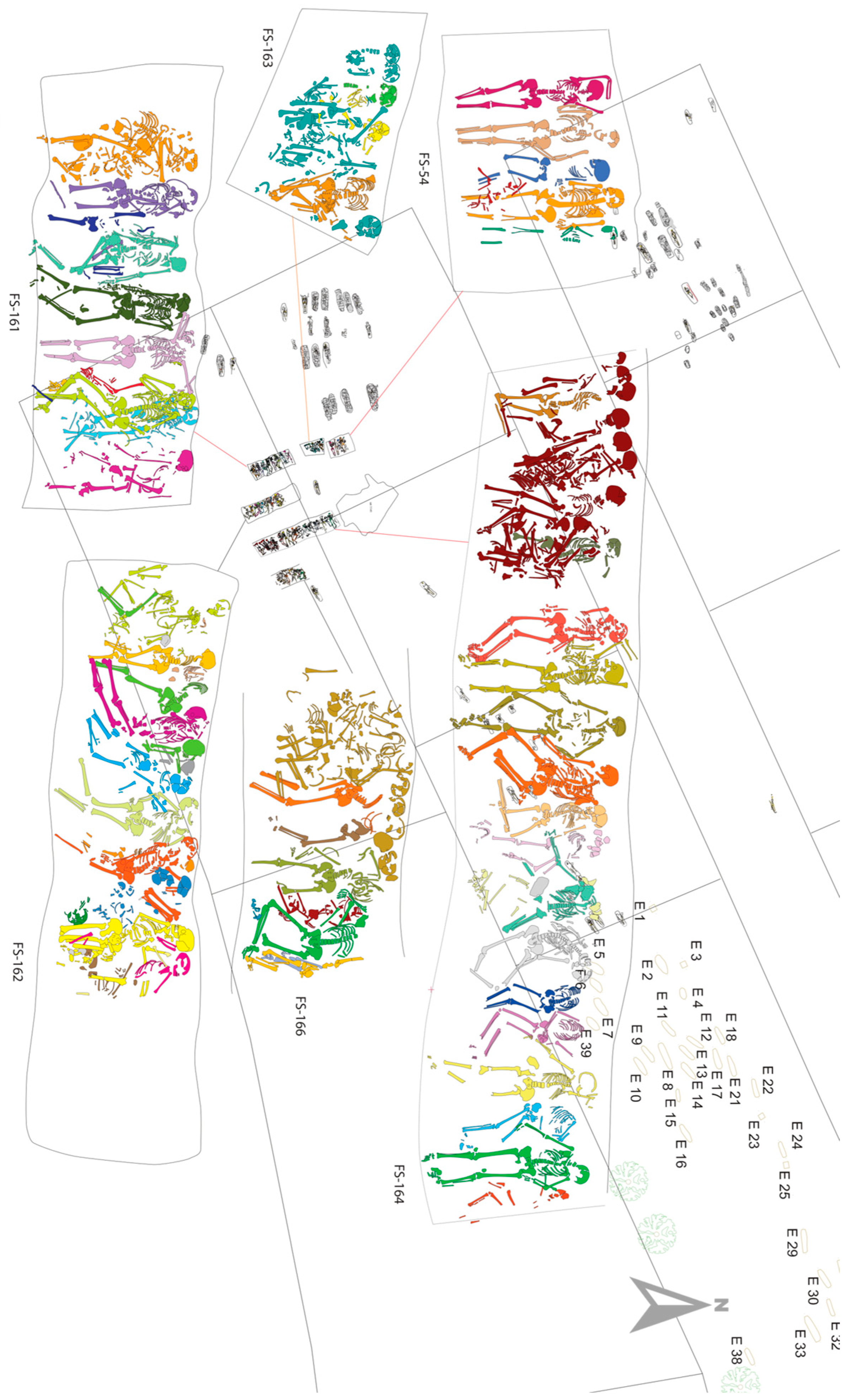 Genes 17 00358 g001 Genes 17 00358 g001