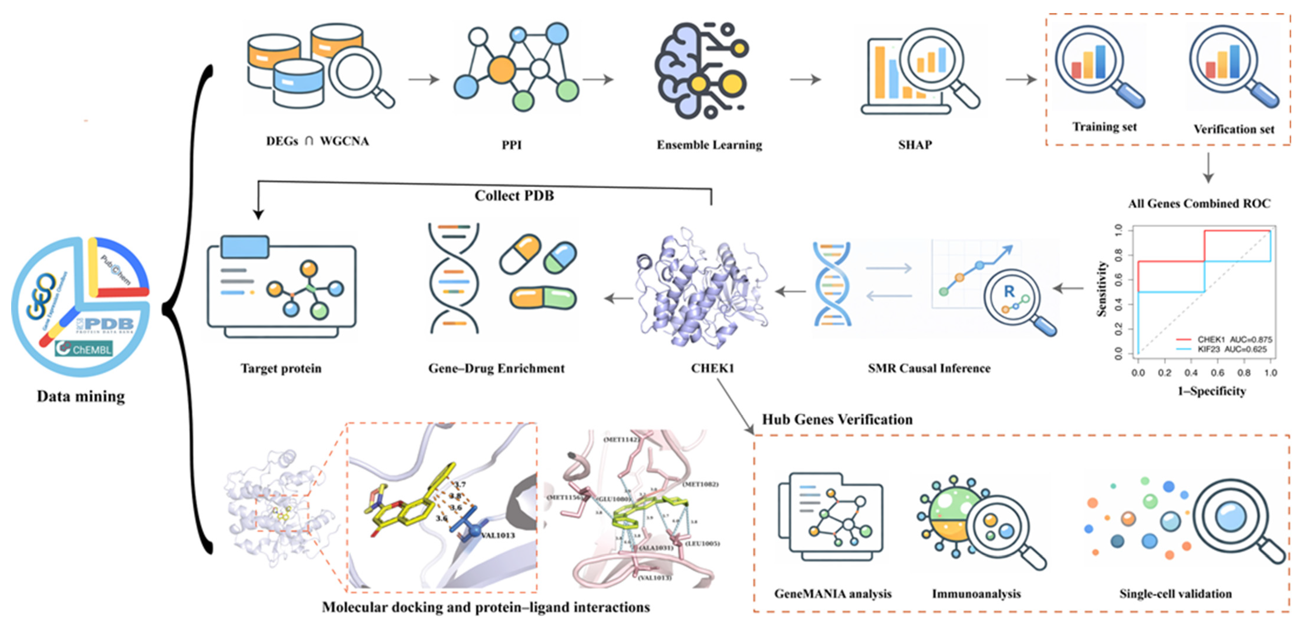 Genes 17 00396 g001 Genes 17 00396 g001