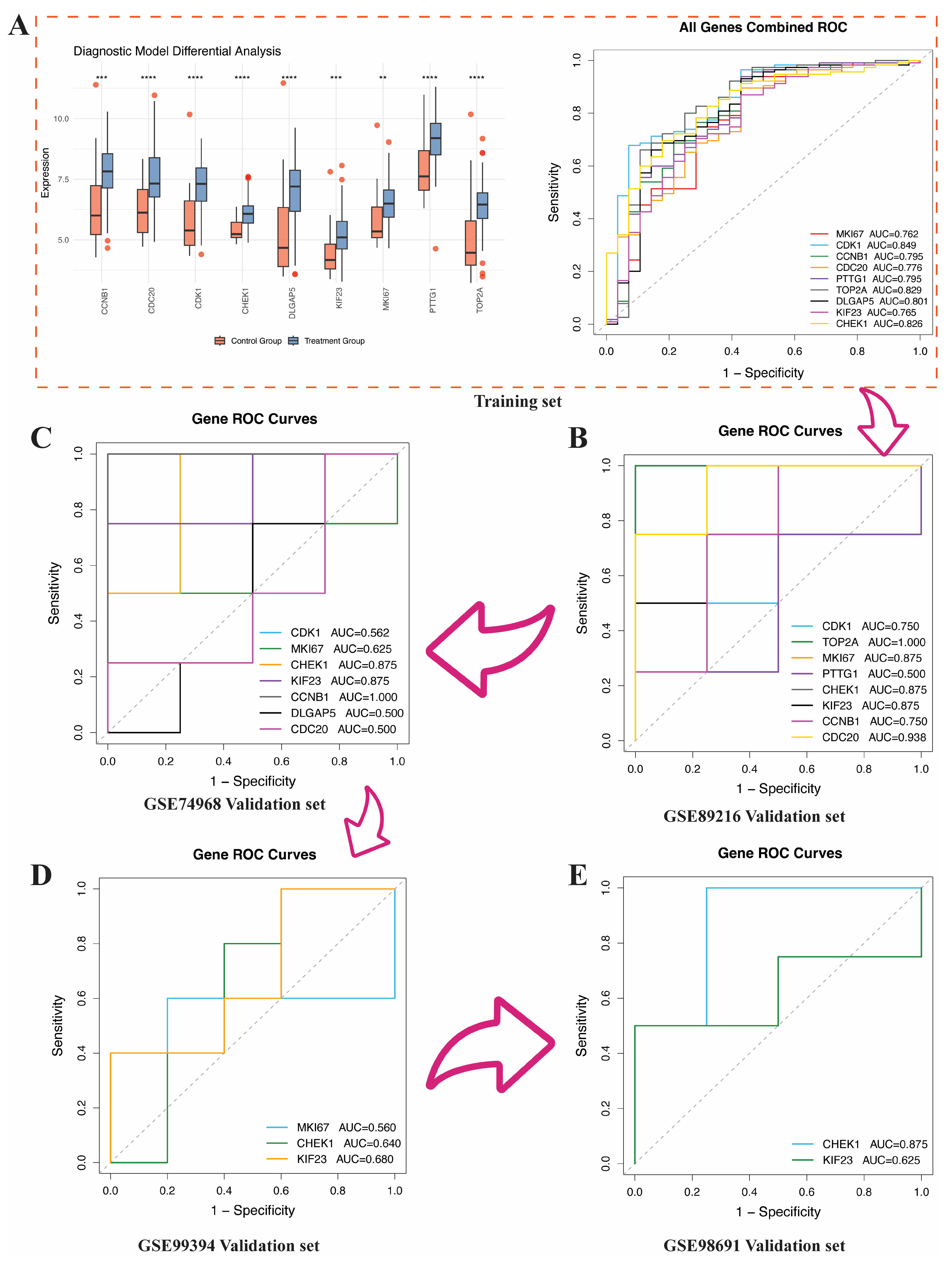 Genes 17 00396 g006 Genes 17 00396 g006
