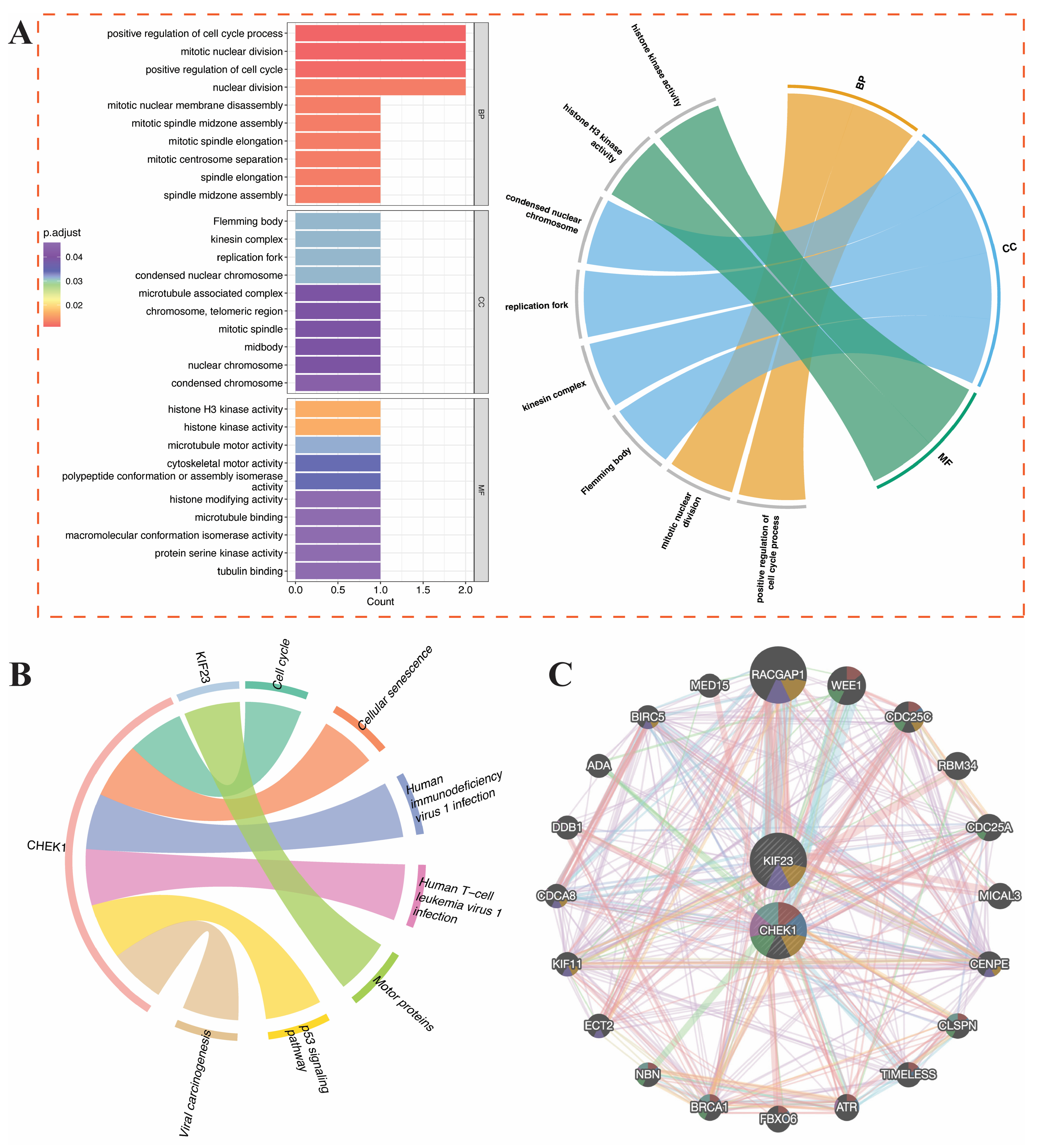 Genes 17 00396 g007 Genes 17 00396 g007