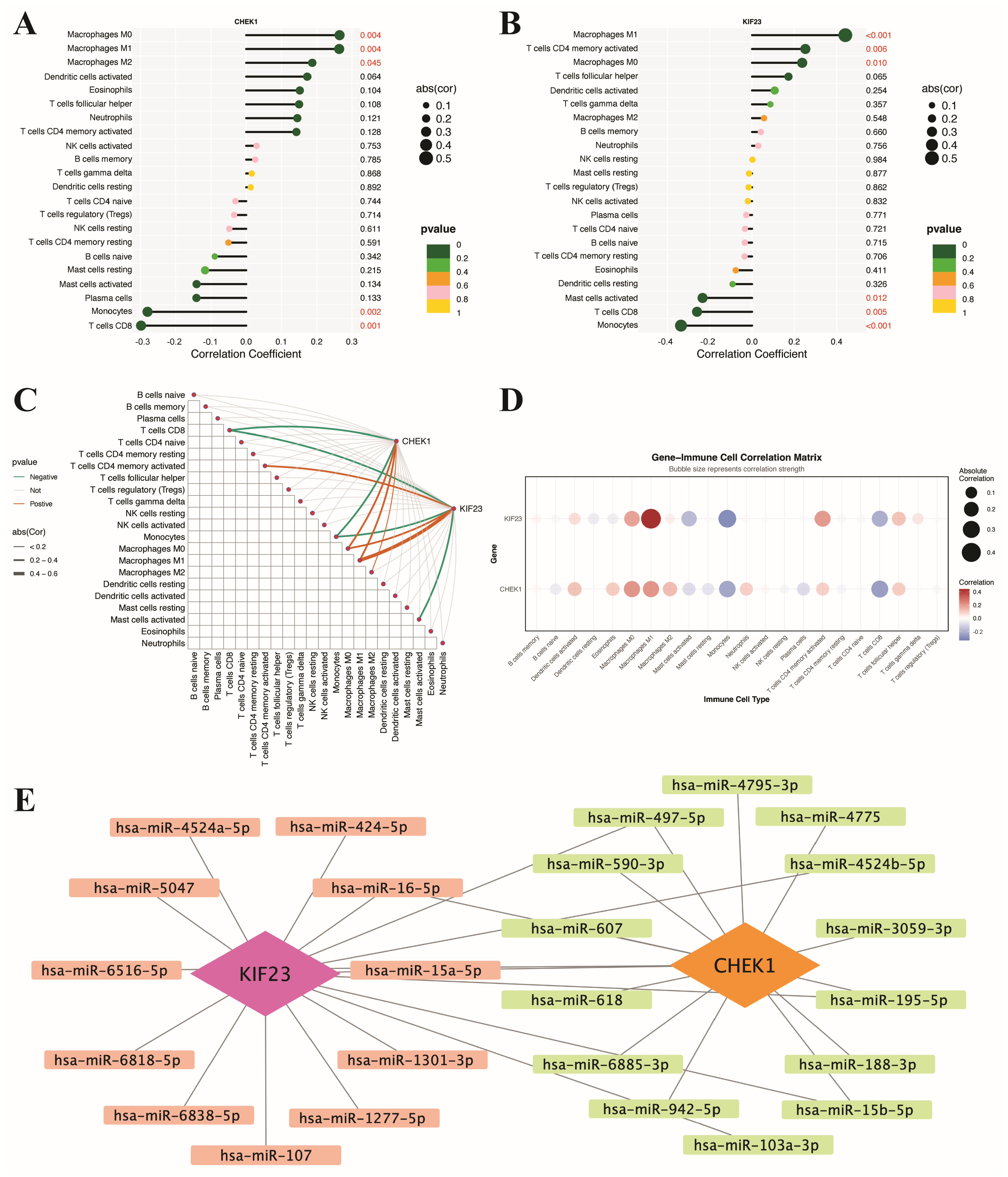 Genes 17 00396 g008 Genes 17 00396 g008