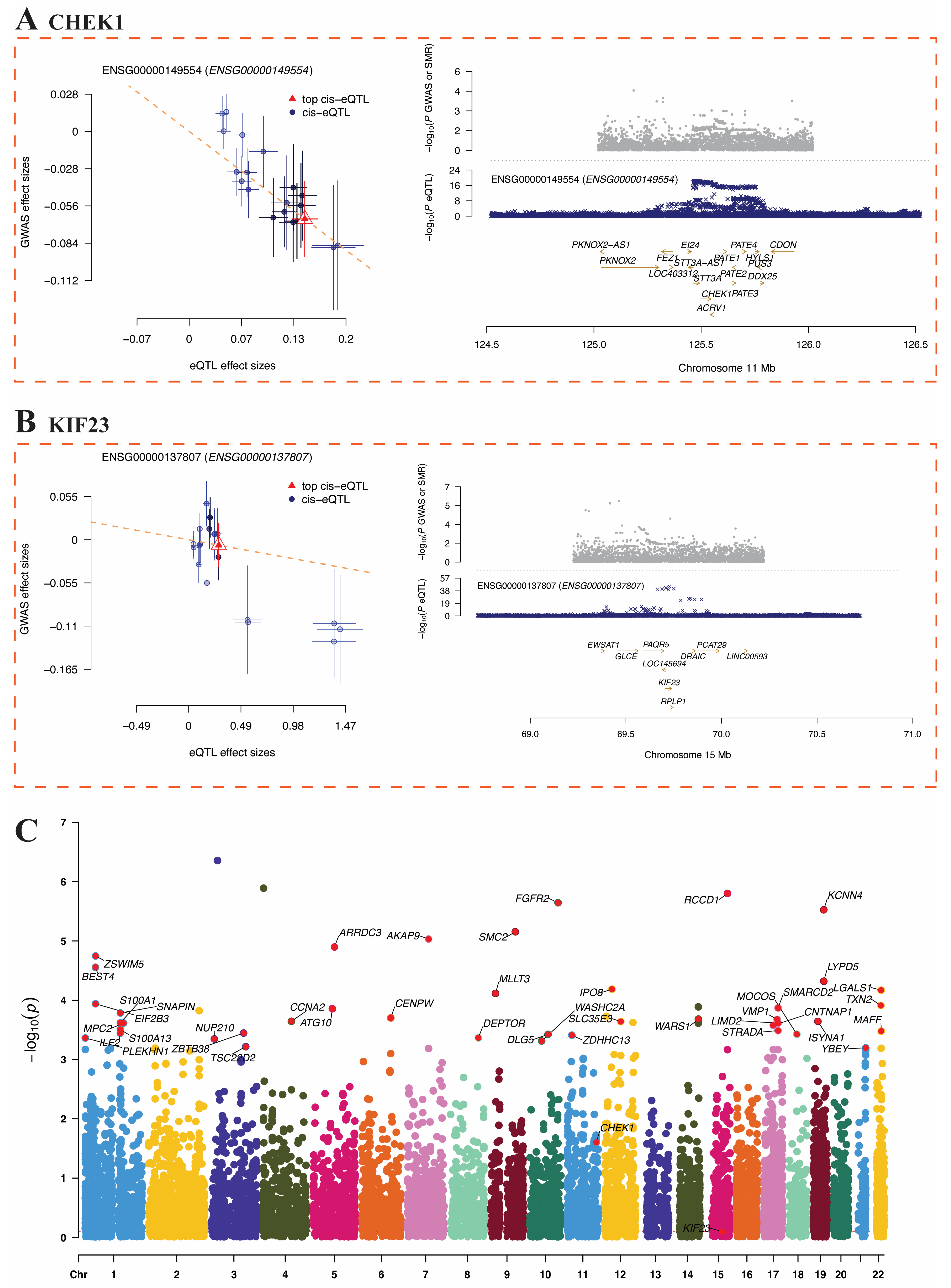 Genes 17 00396 g009 Genes 17 00396 g009