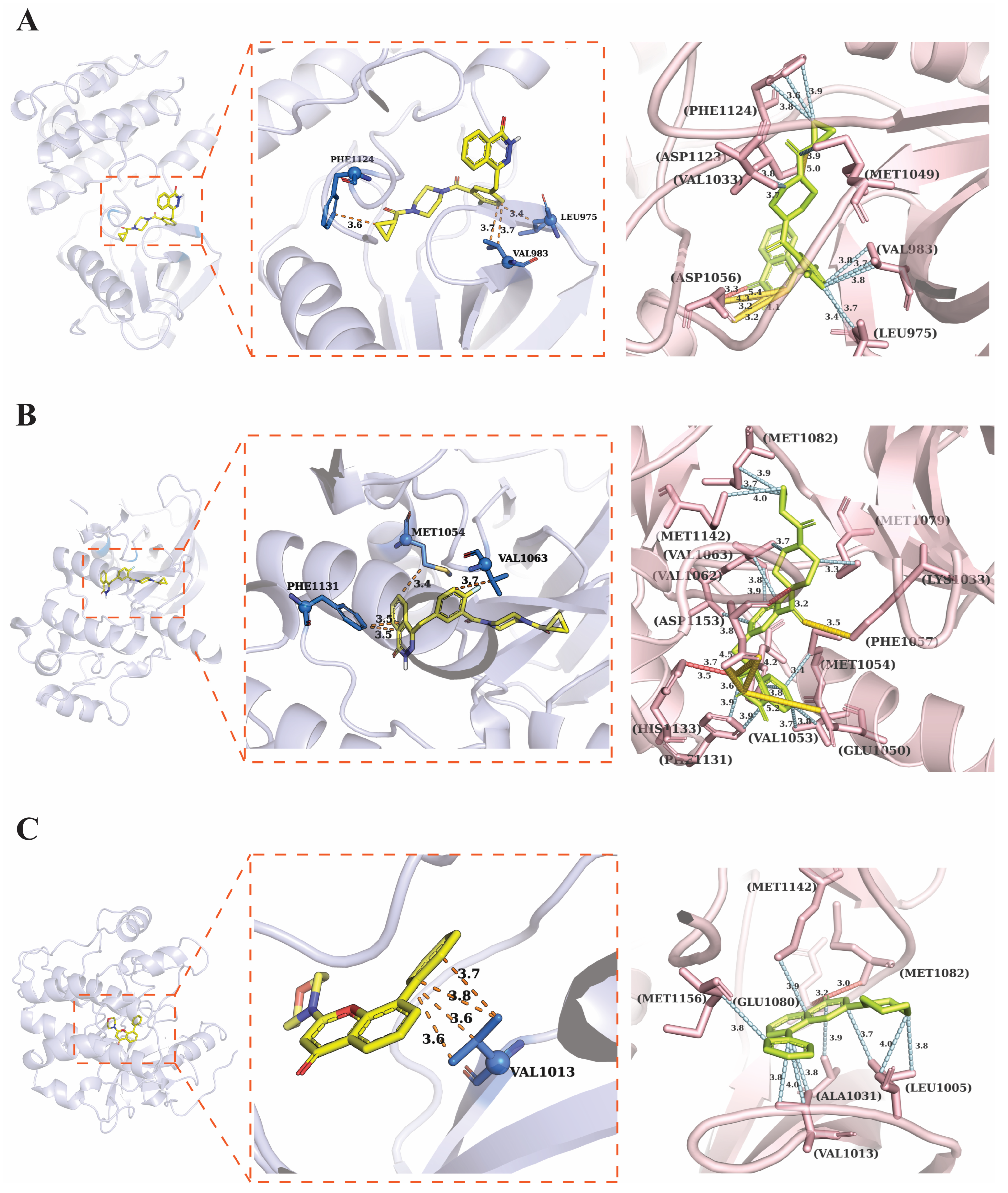 Genes 17 00396 g012 Genes 17 00396 g012
