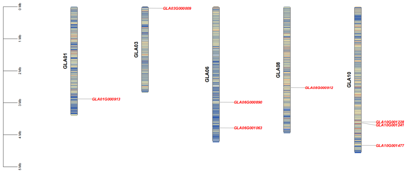 Genes 17 00473 g001 Genes 17 00473 g001