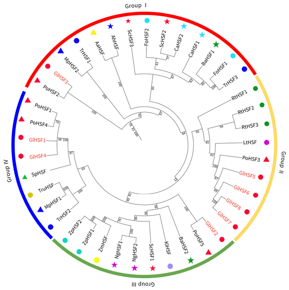 Genes 17 00473 g002 Genes 17 00473 g002