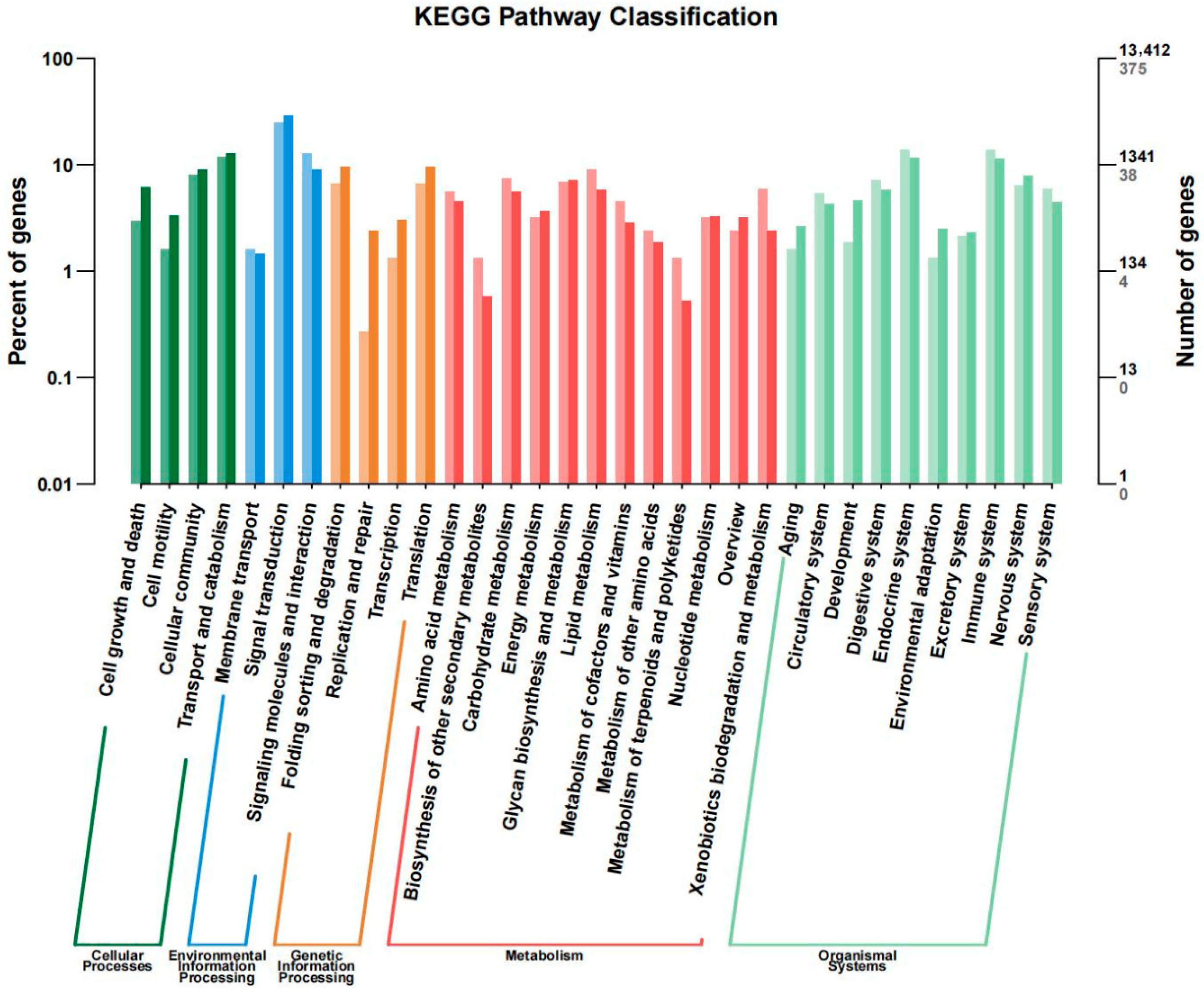Genes 17 00495 g005 Genes 17 00495 g005