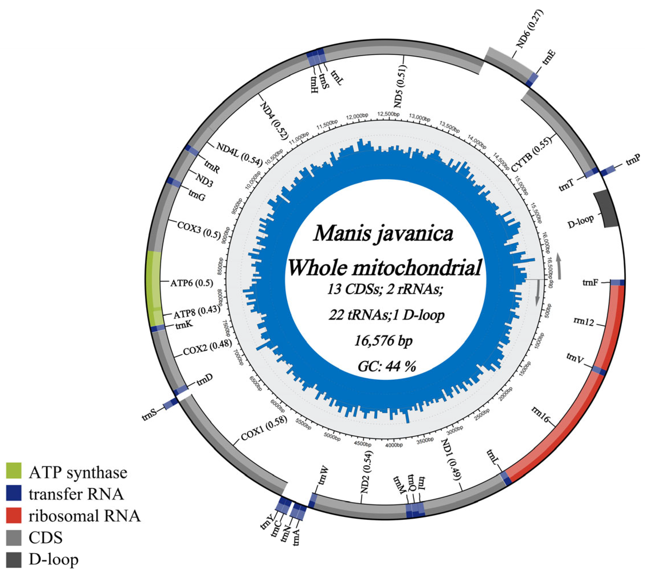 Genes 17 00498 g003 Genes 17 00498 g003