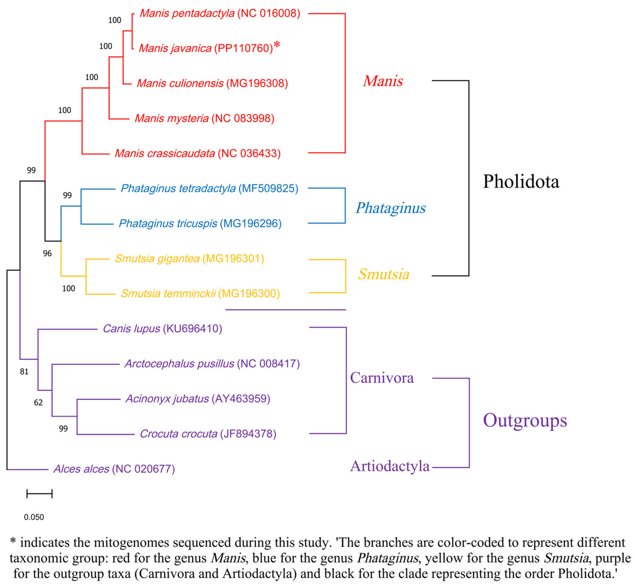 Genes 17 00498 g004 Genes 17 00498 g004
