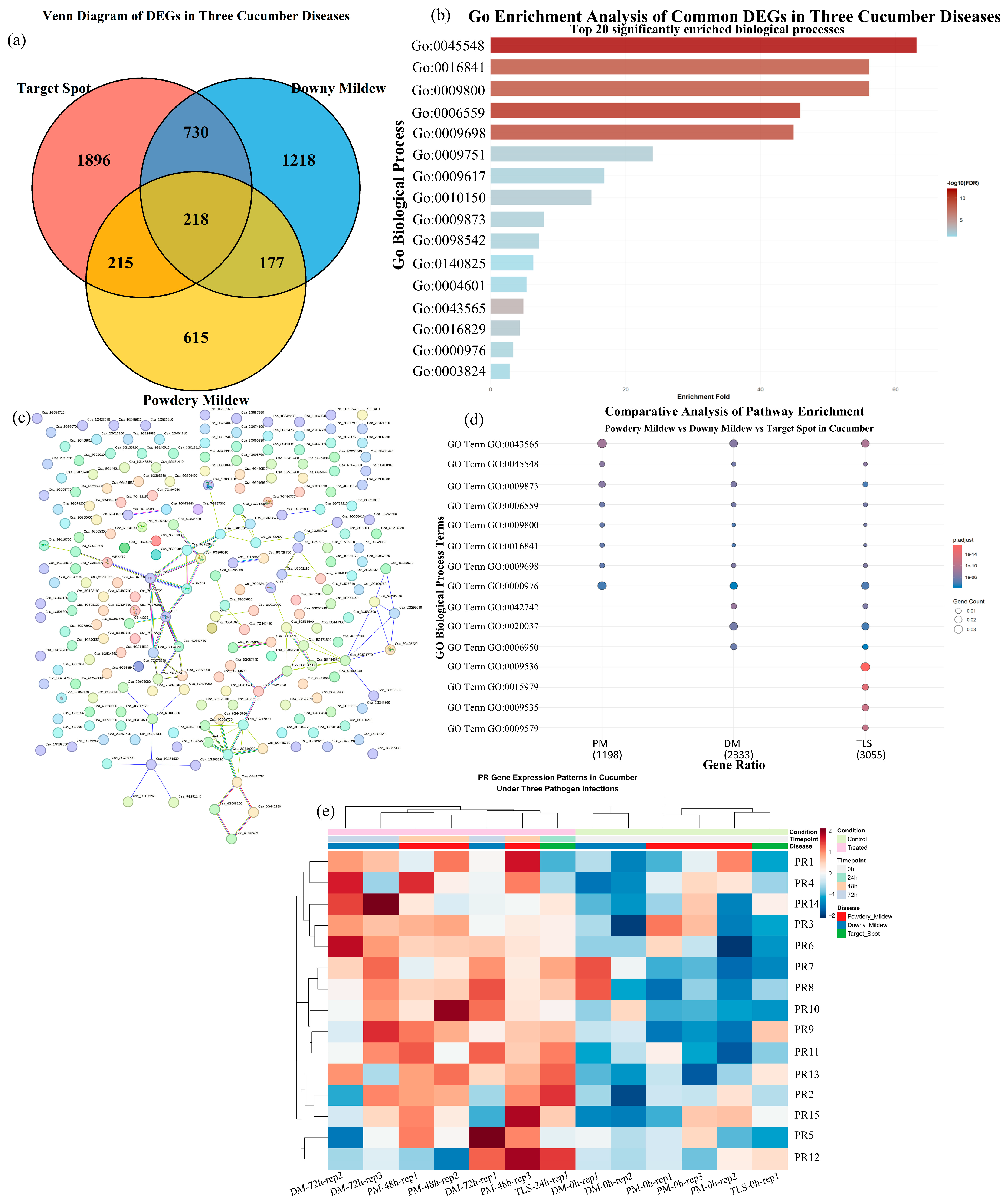 Genes 17 00522 g003 Genes 17 00522 g003