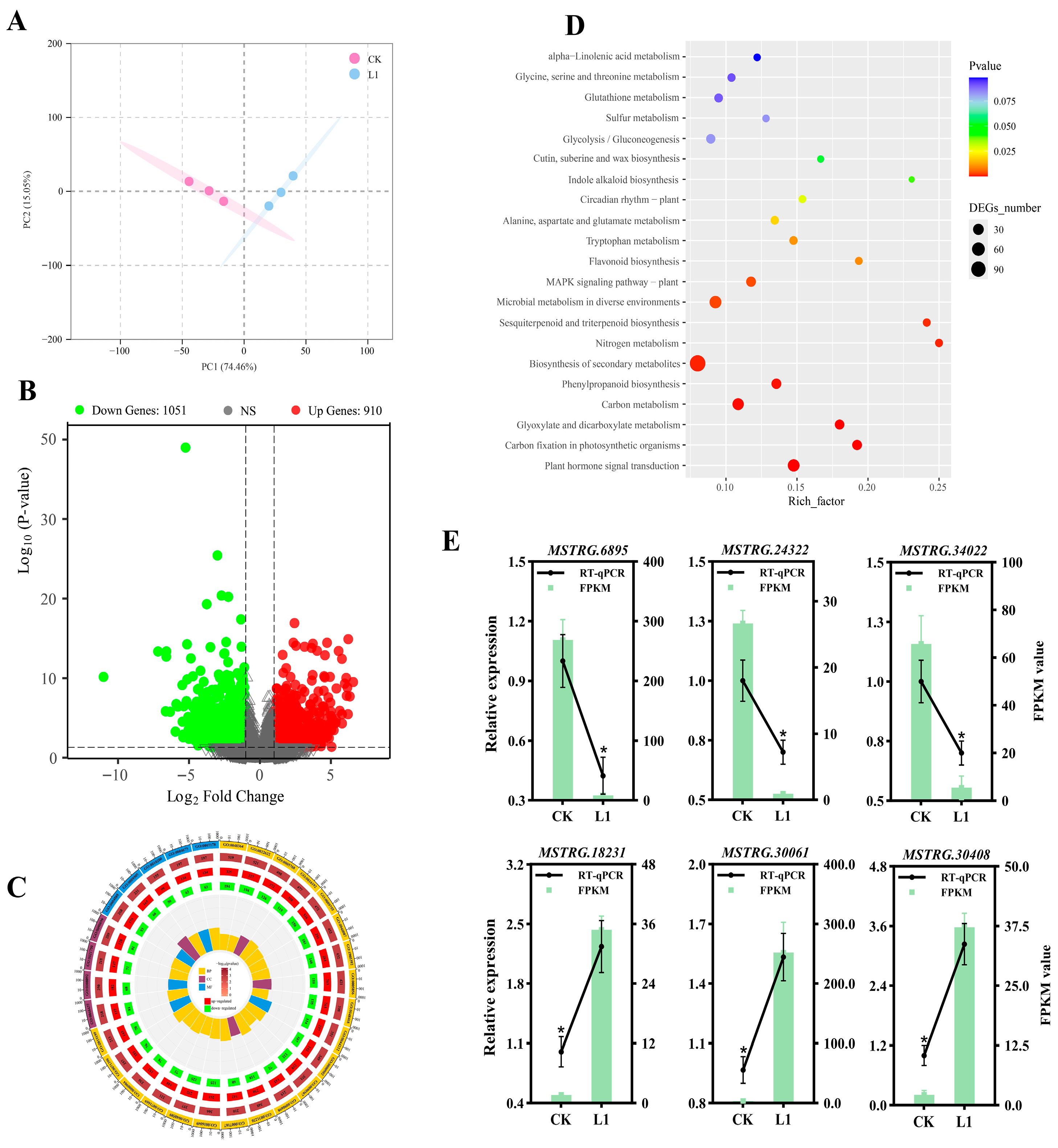 Genes 17 00545 g006 Genes 17 00545 g006