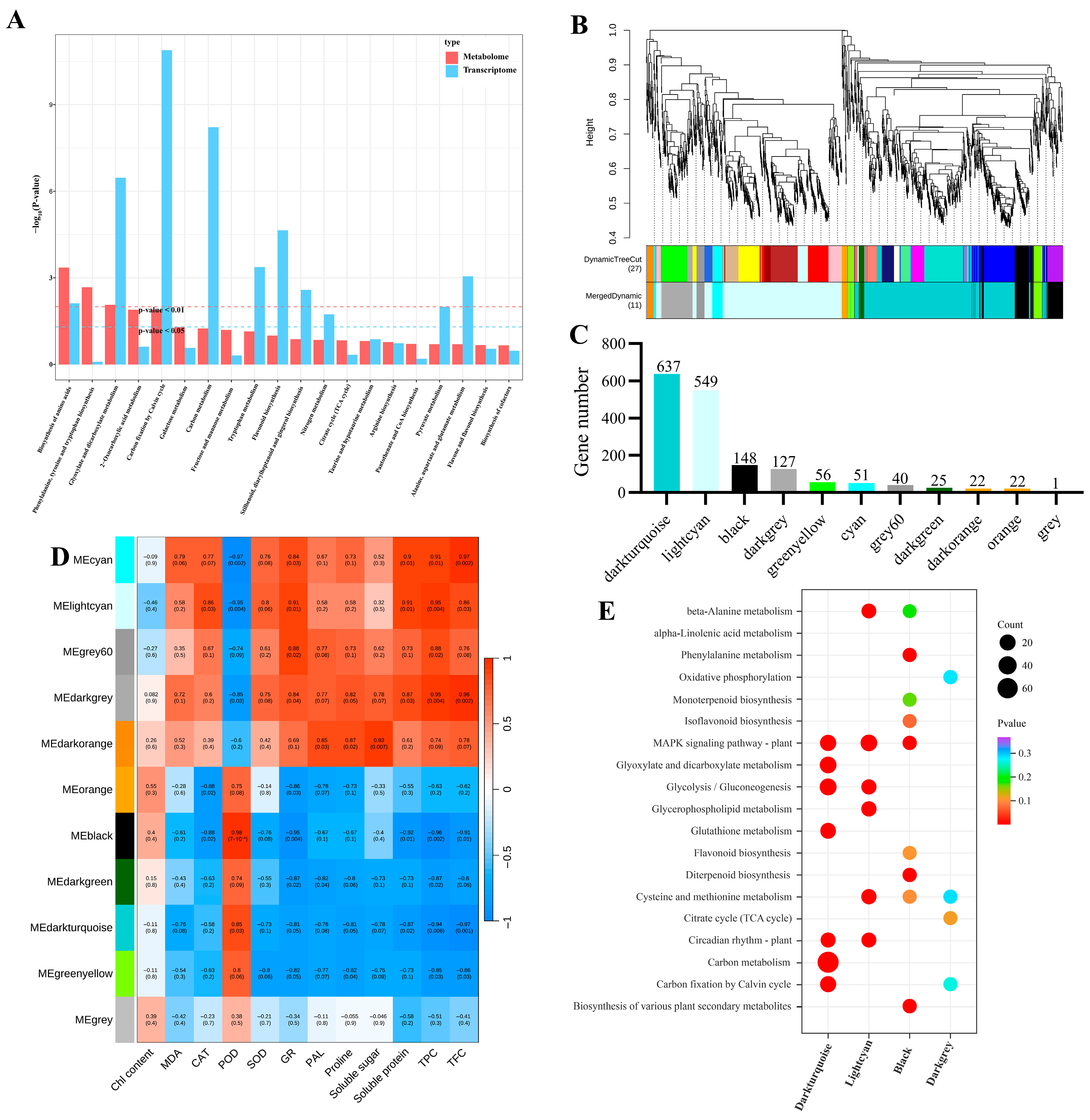 Genes 17 00545 g008 Genes 17 00545 g008