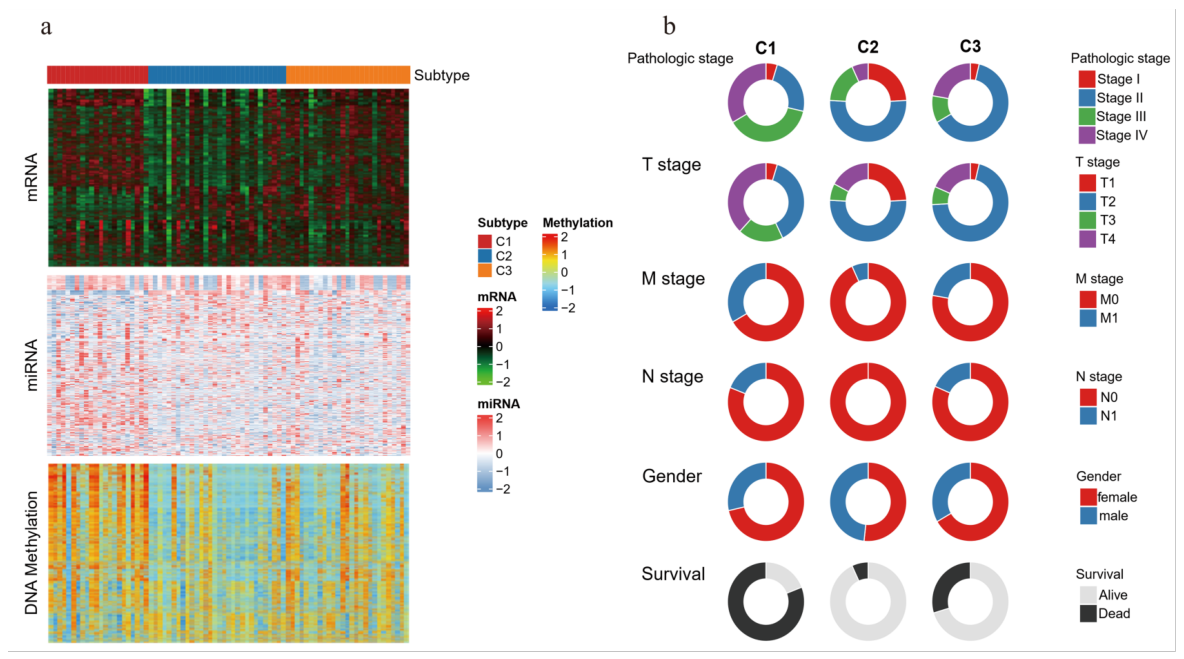 Genes 17 00587 g004 Genes 17 00587 g004