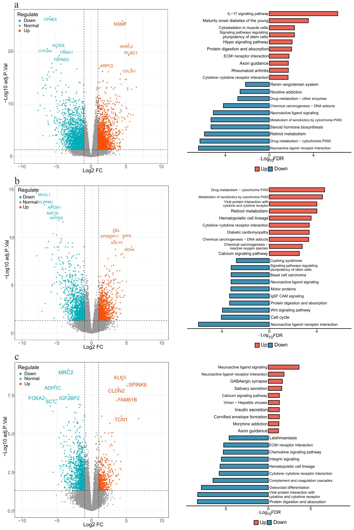 Genes 17 00587 g006 Genes 17 00587 g006