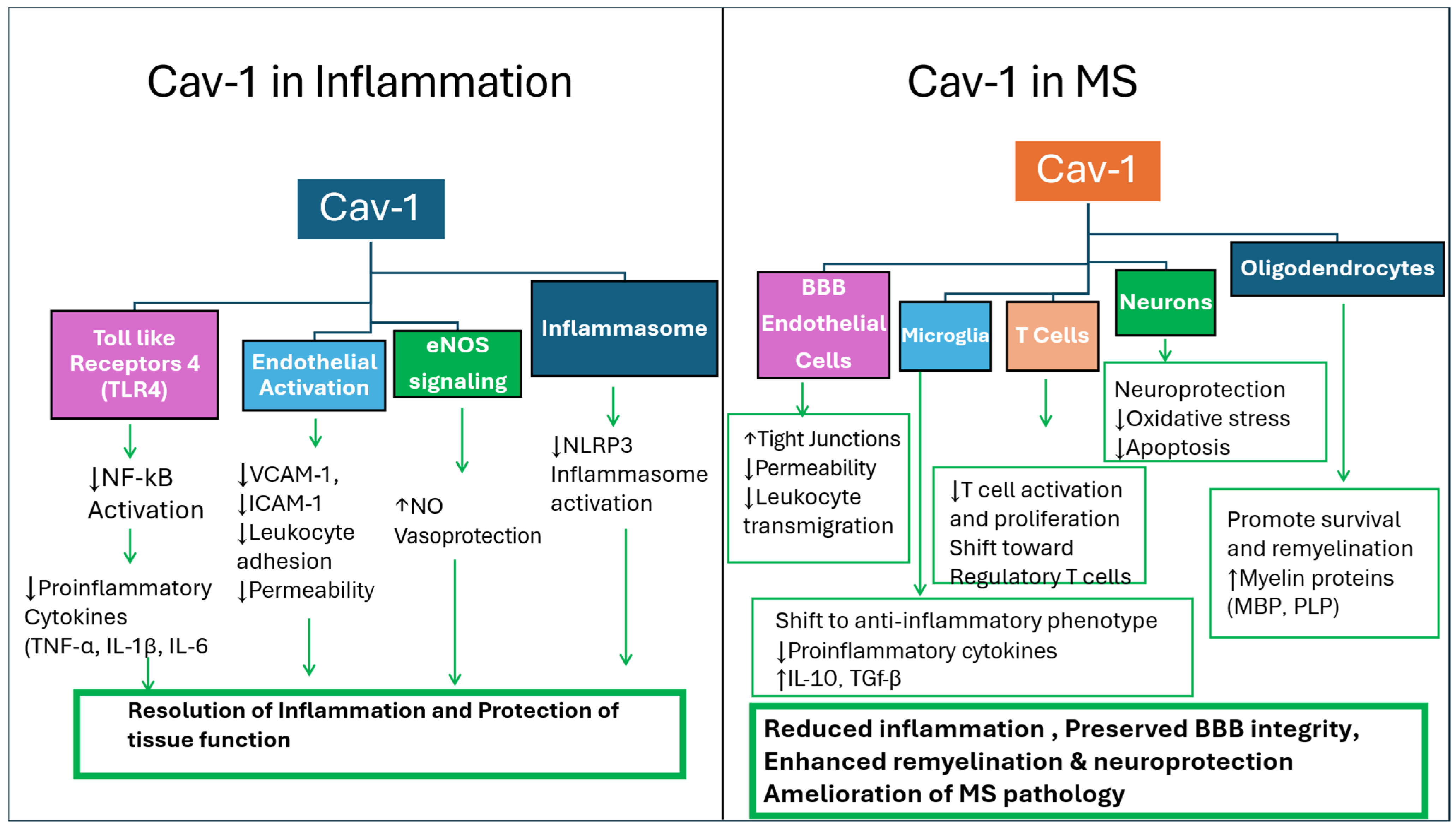 Genes 17 00593 g002 Genes 17 00593 g002
