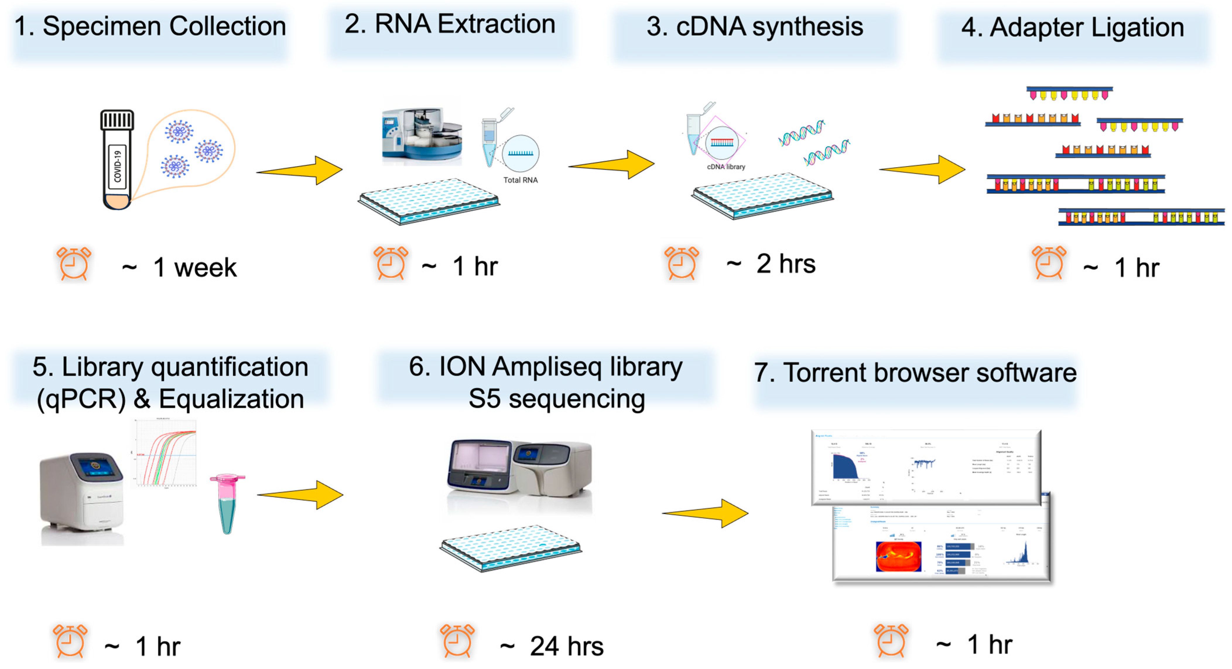 Genes 17 00632 g001 Genes 17 00632 g001