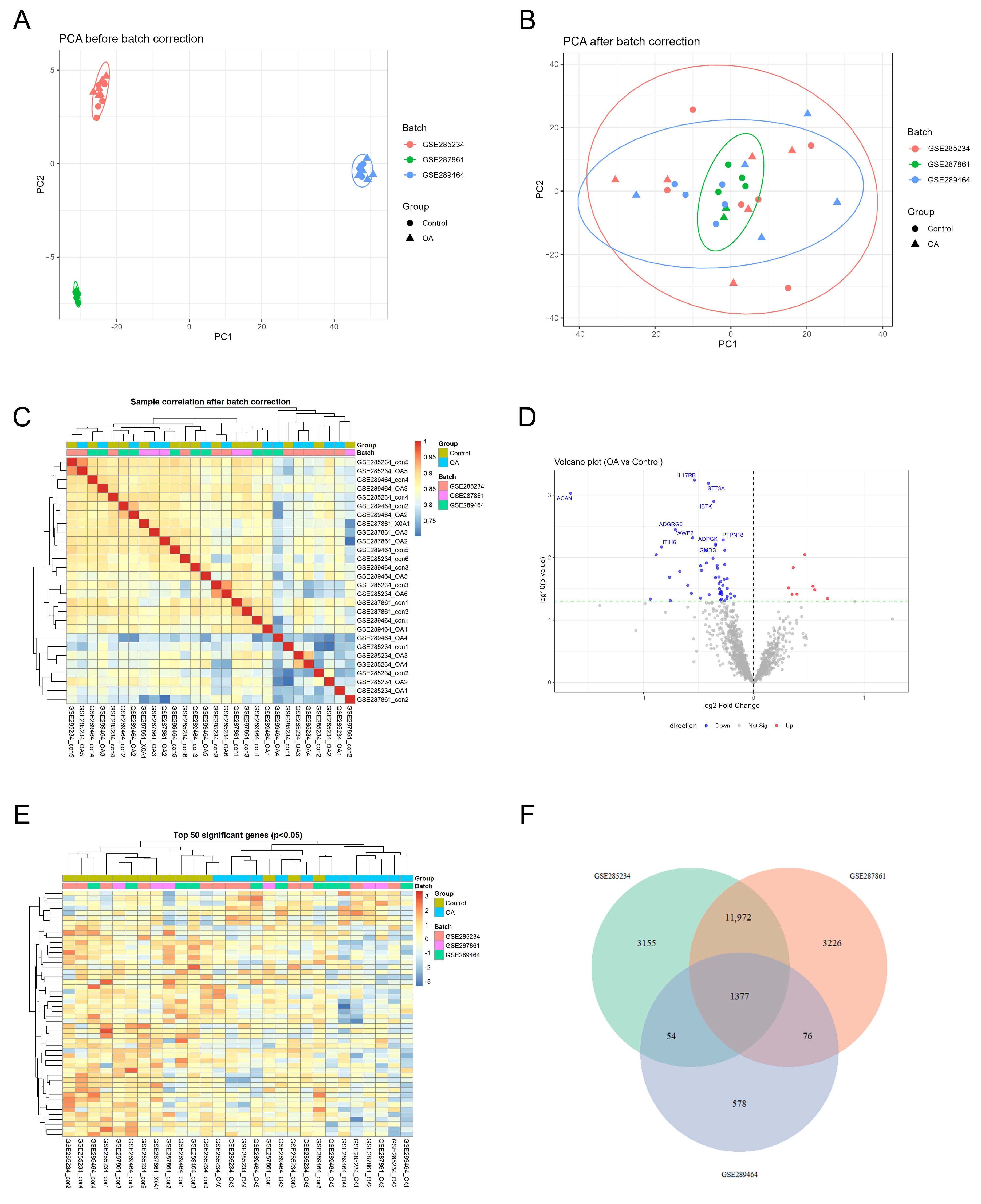 Genes 17 00696 g001