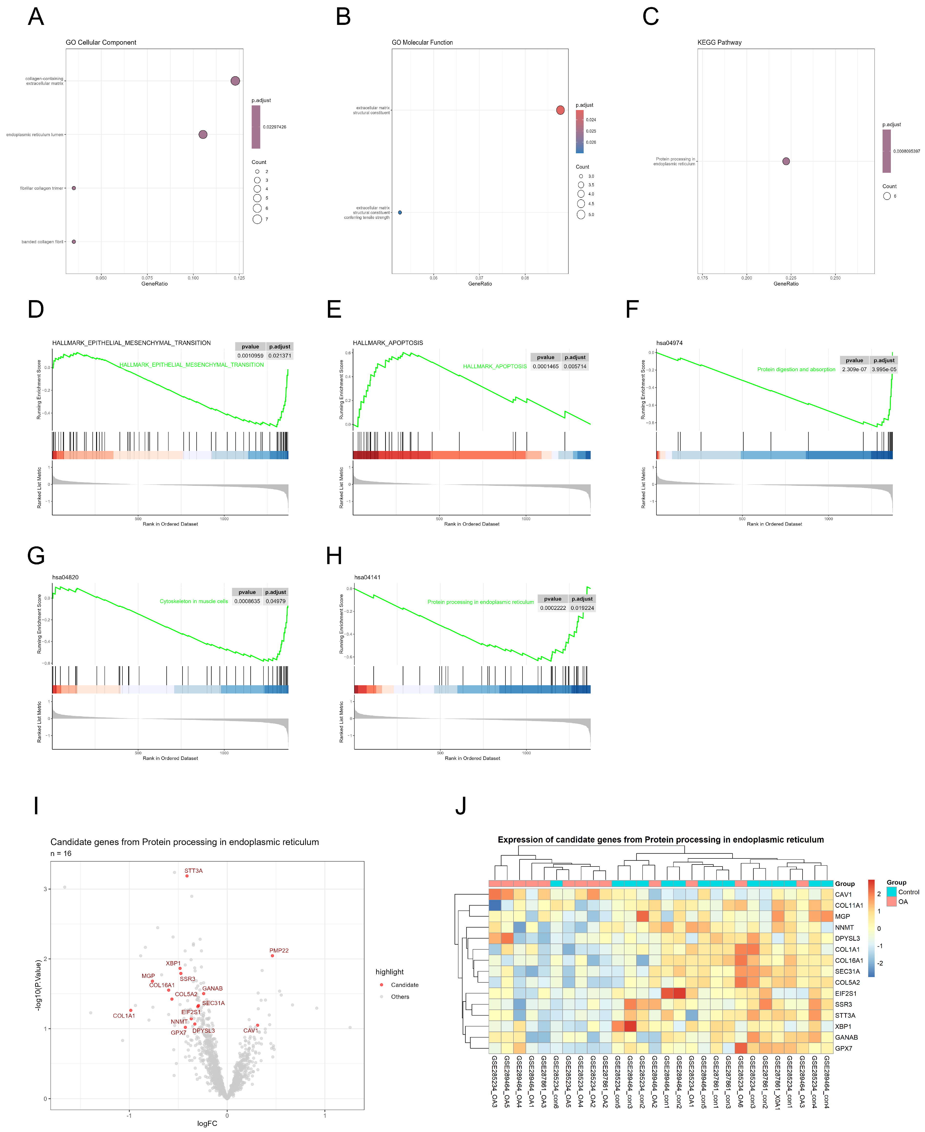 Genes 17 00696 g002