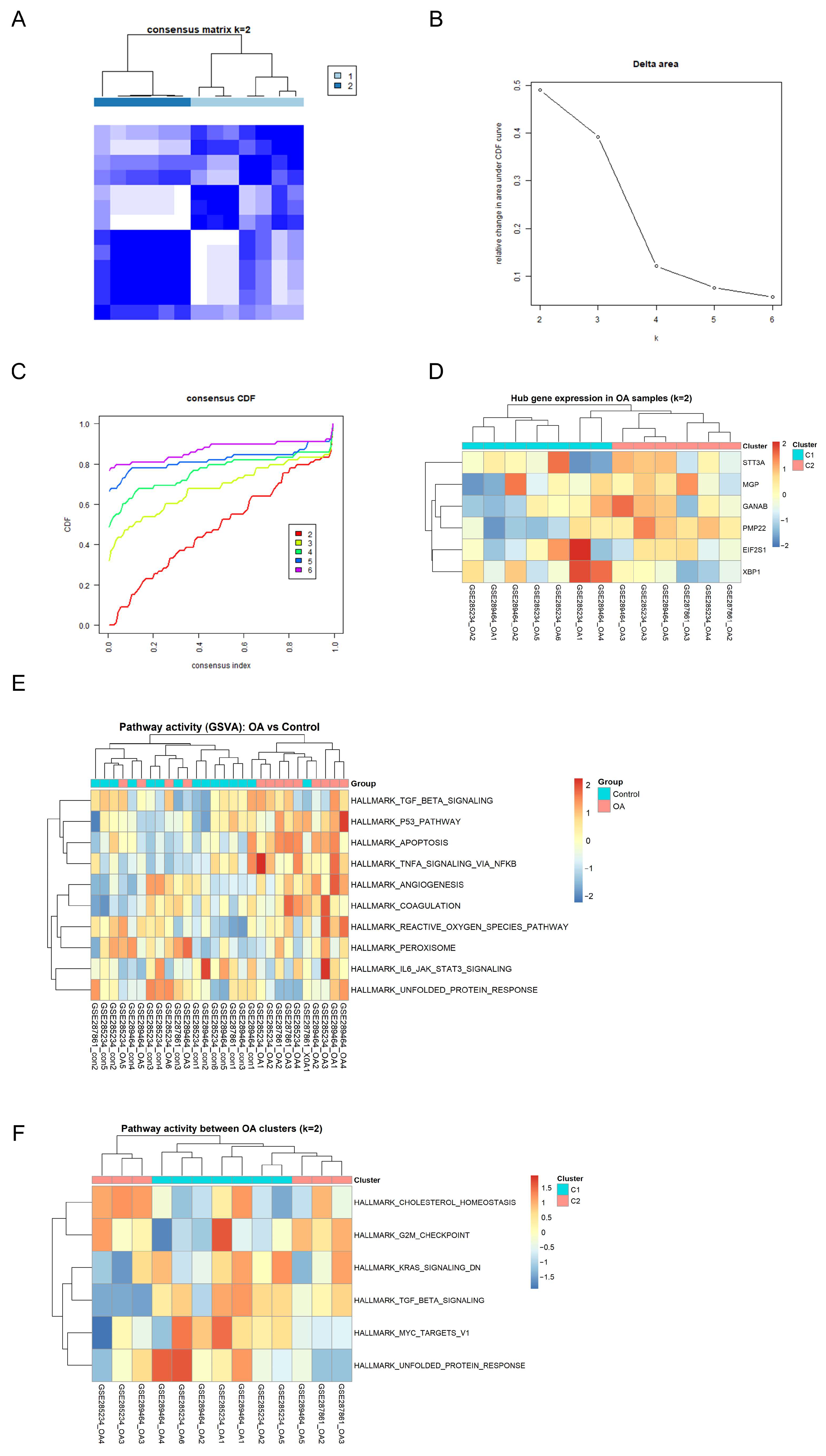 Genes 17 00696 g005
