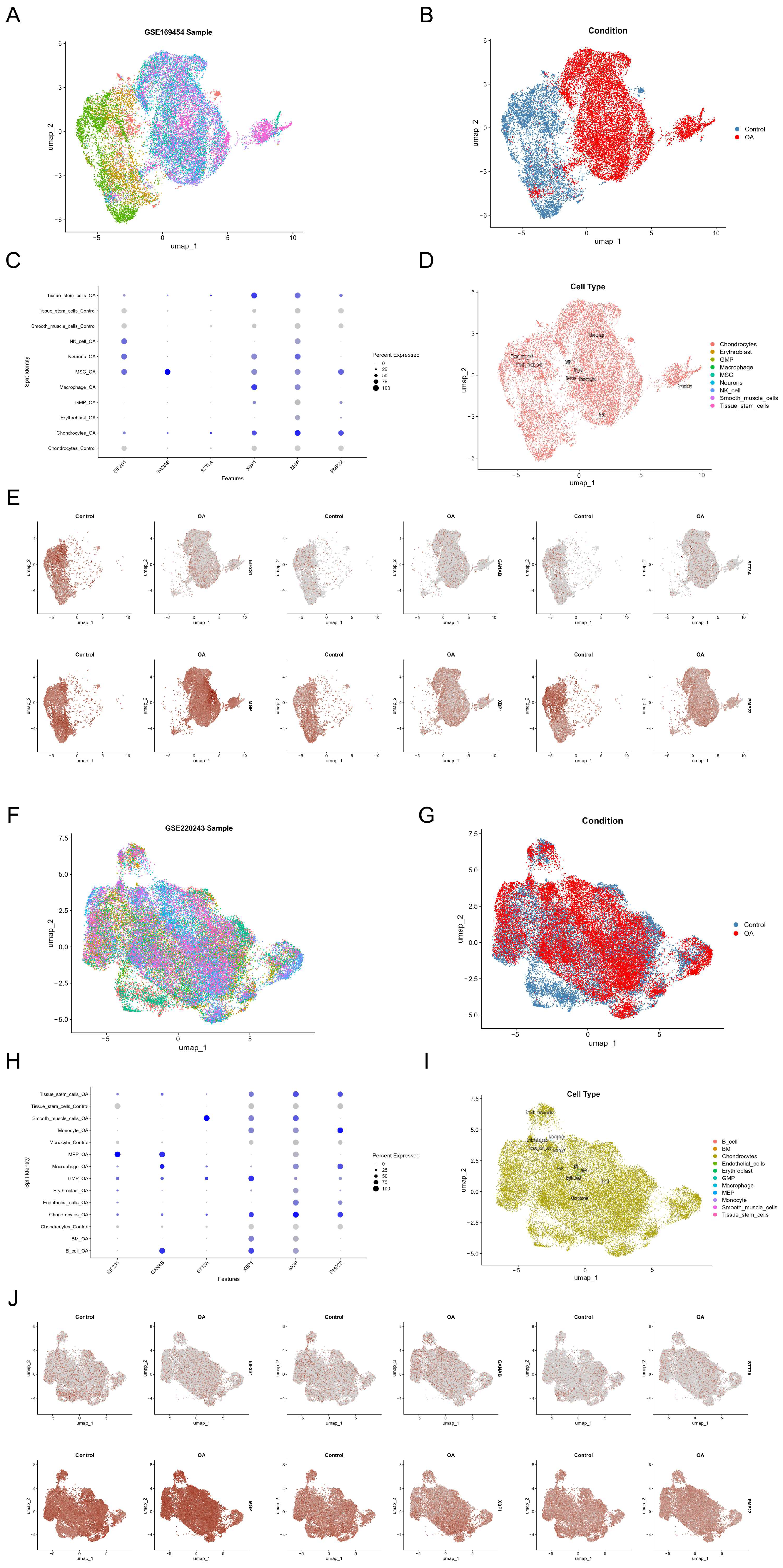 Genes 17 00696 g006