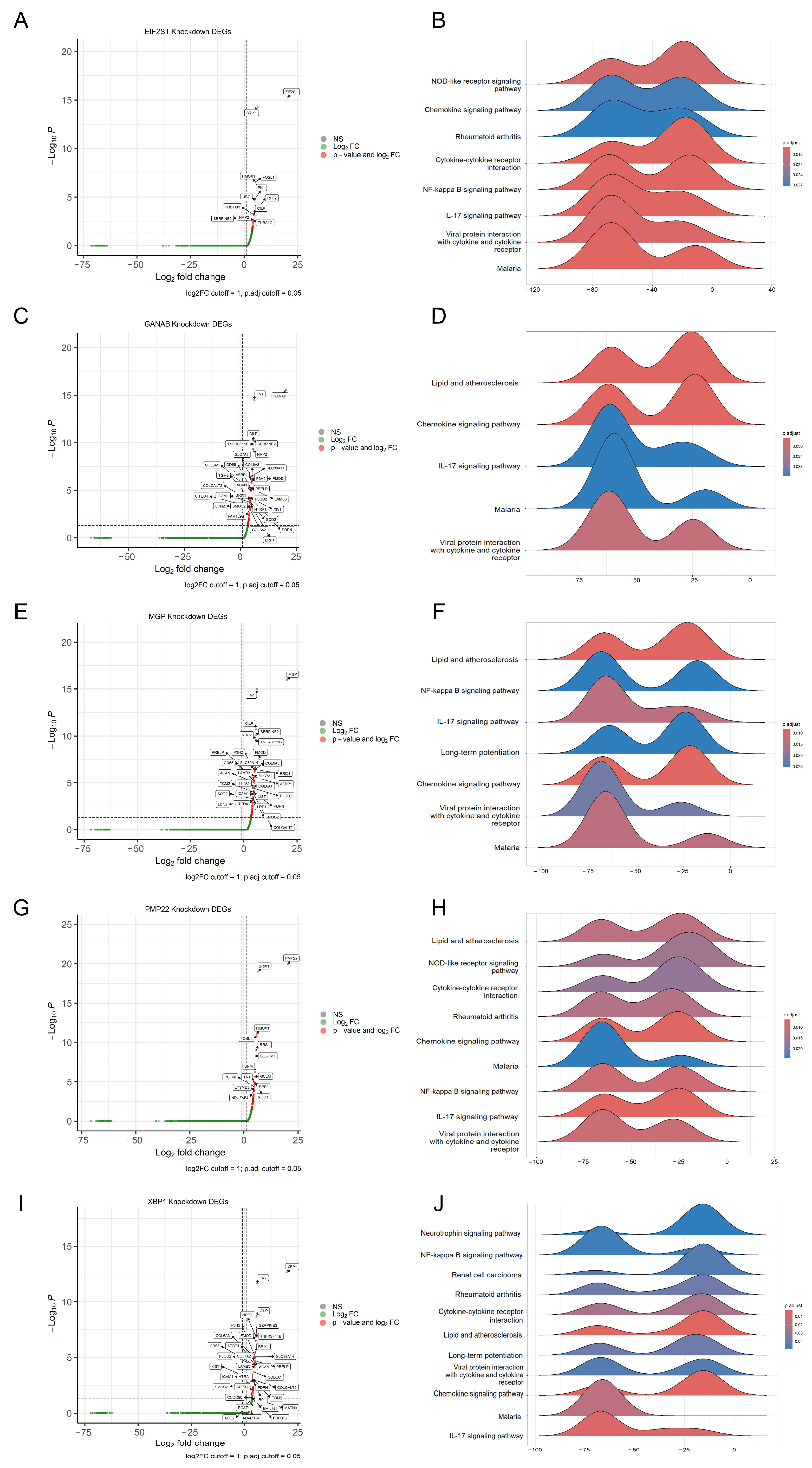 Genes 17 00696 g007