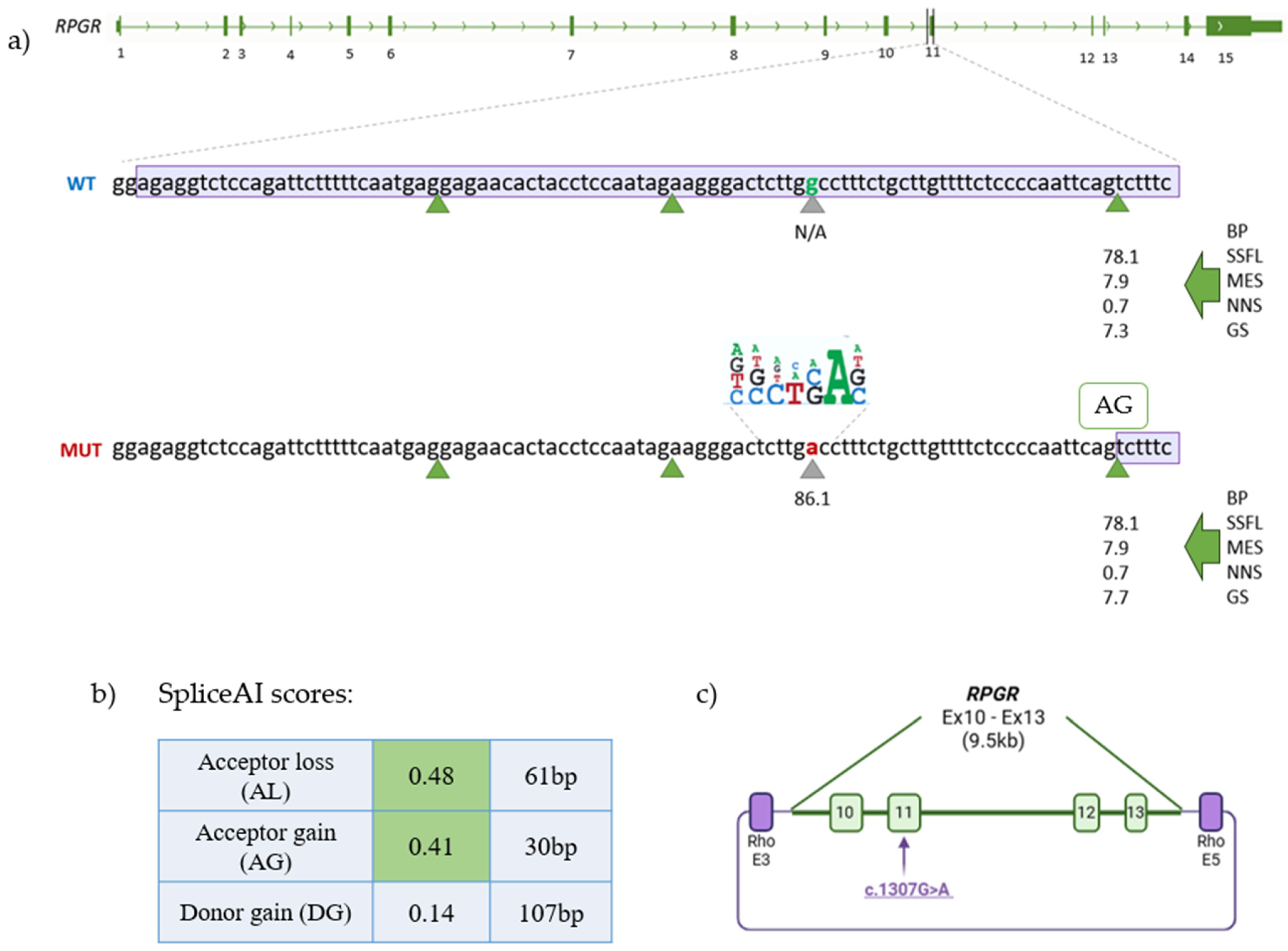 Genes 17 00715 g003 Genes 17 00715 g003