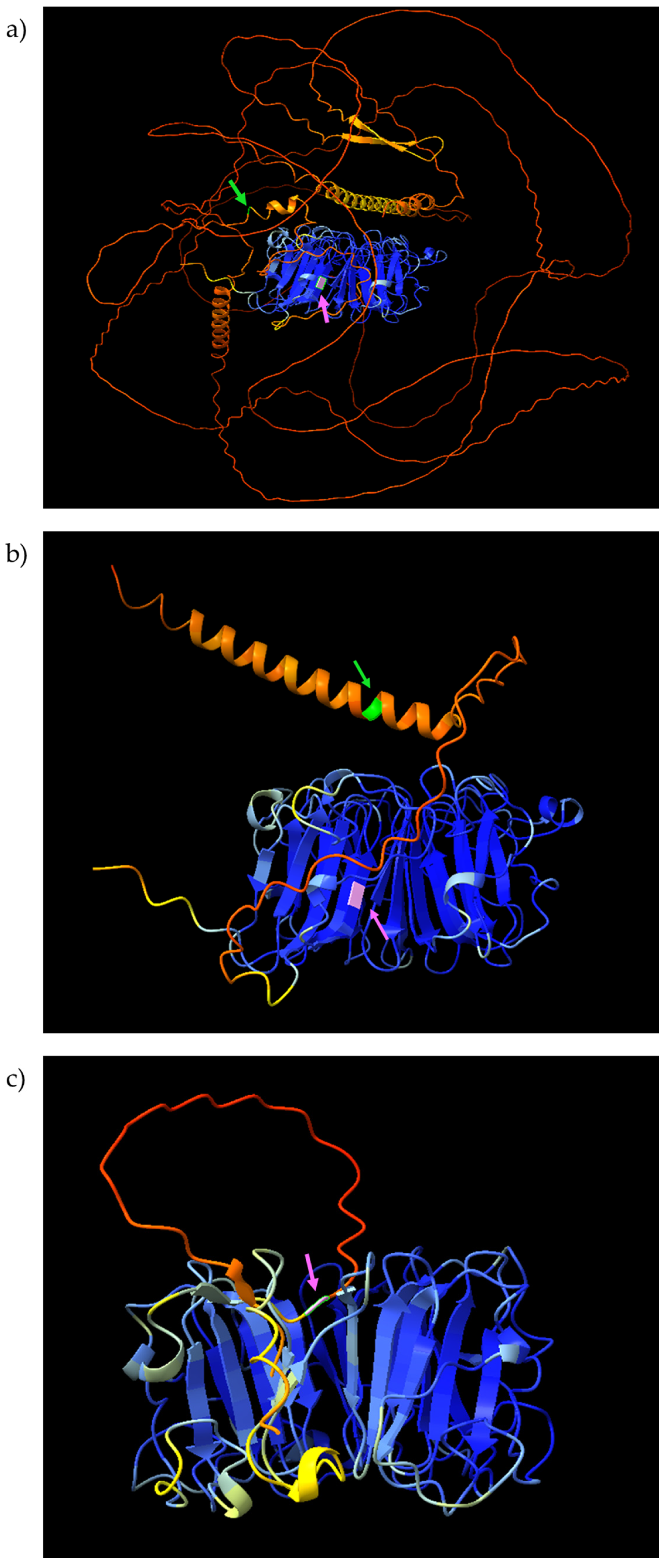 Genes 17 00715 g005 Genes 17 00715 g005