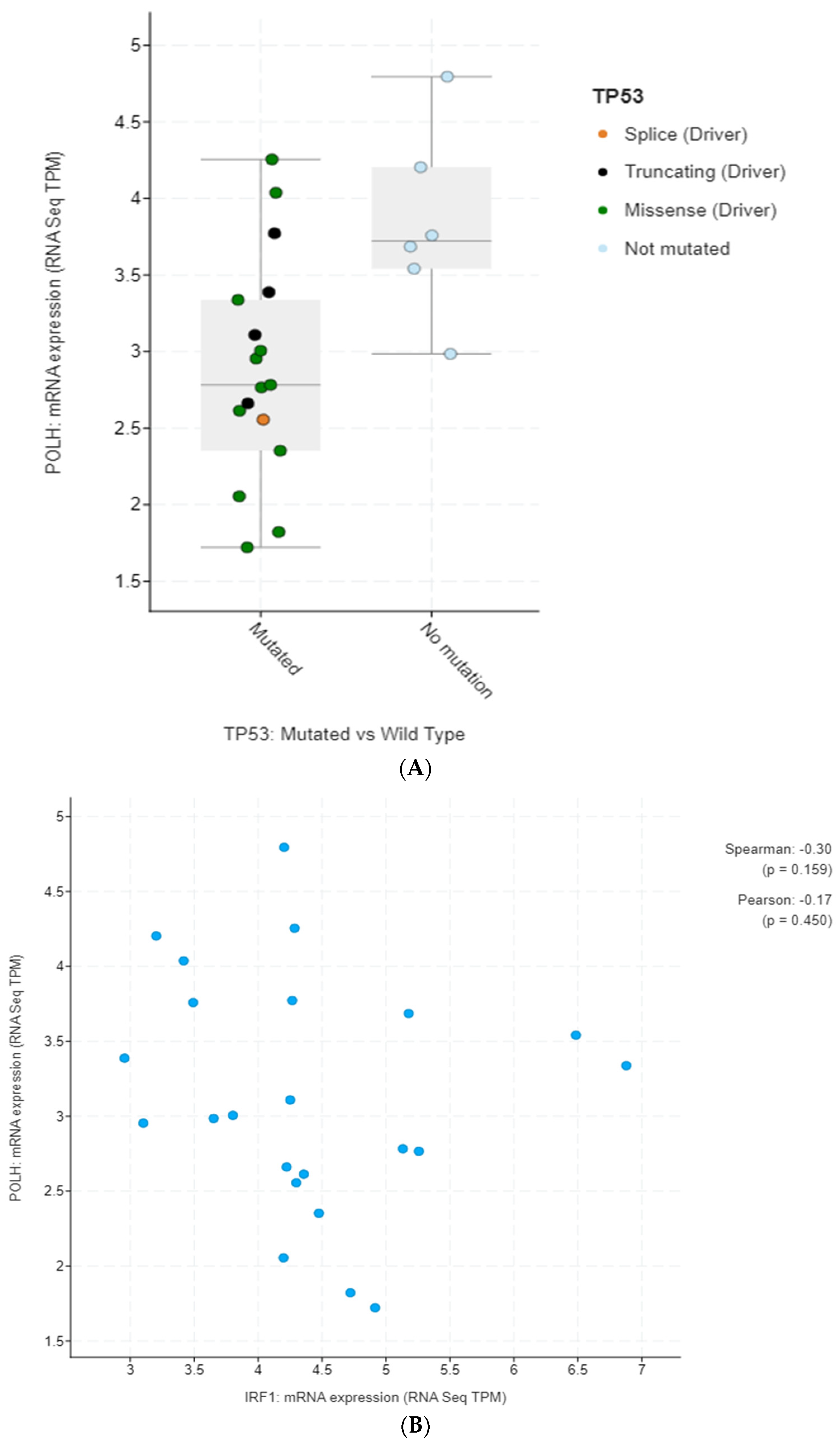 Genes 17 00769 g011 Genes 17 00769 g011