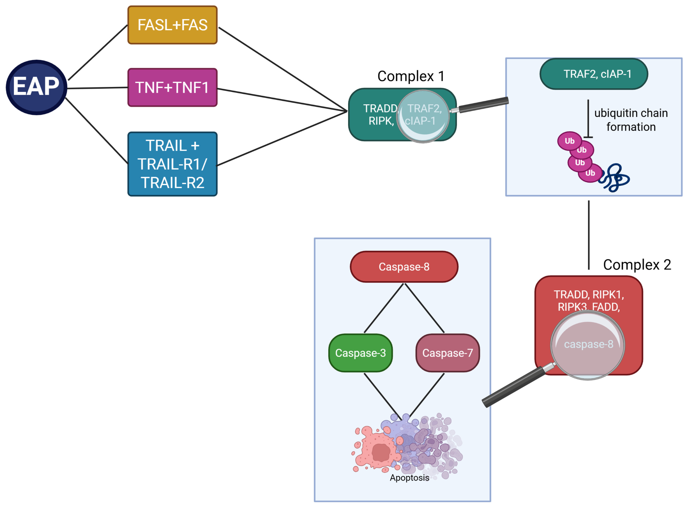 Genes 17 00807 g002 Genes 17 00807 g002