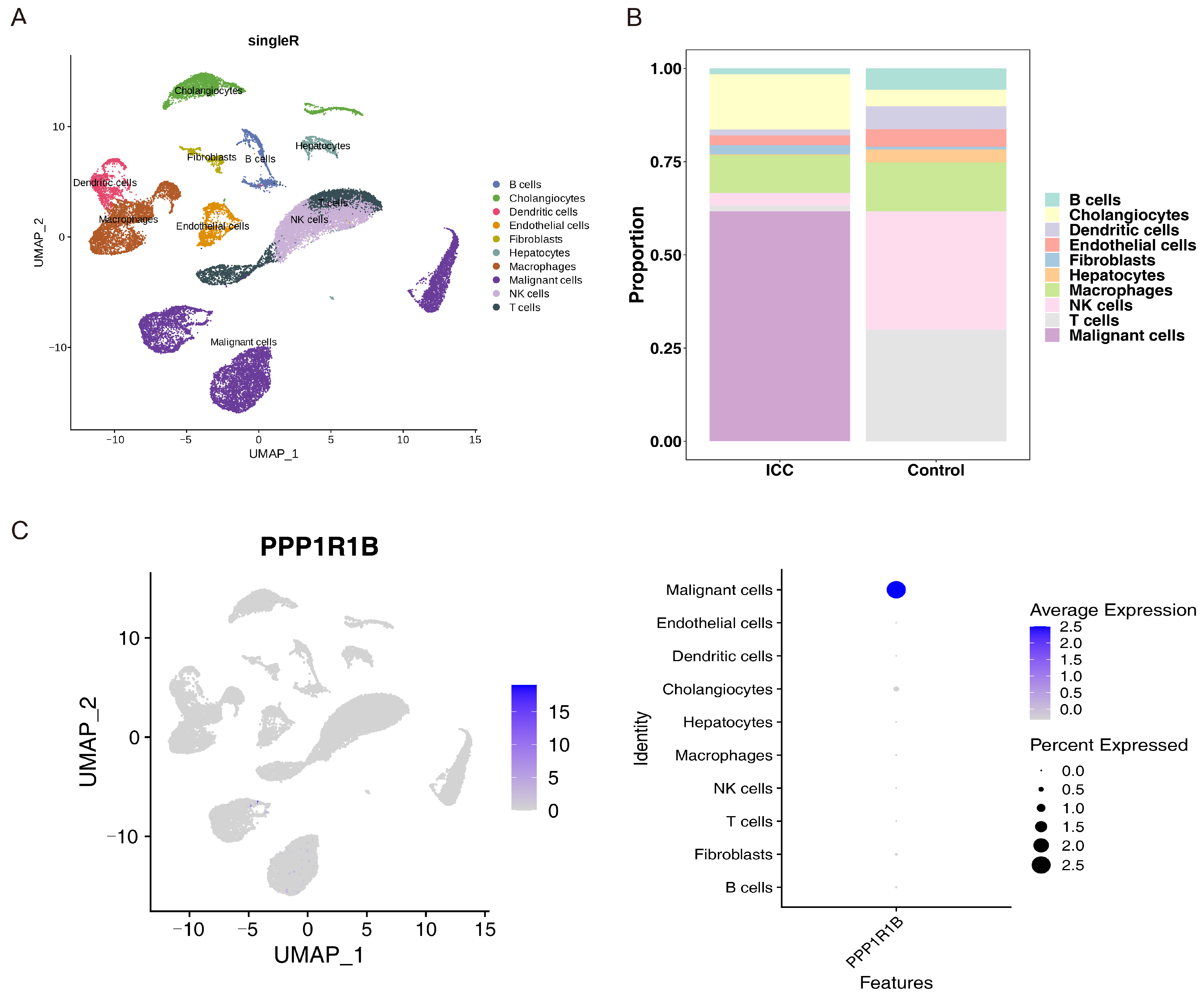 Genes 17 00868 g003 Genes 17 00868 g003