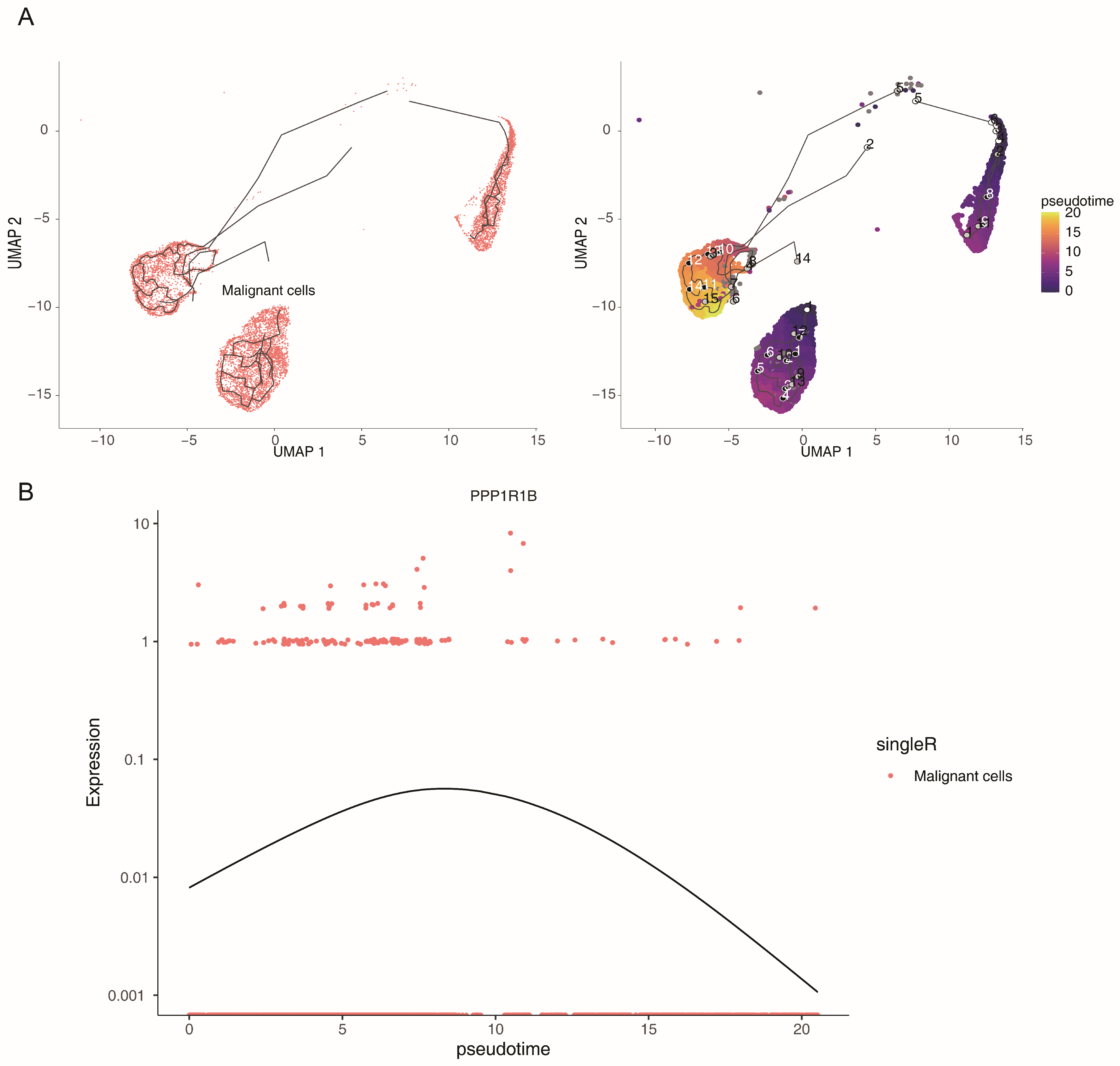 Genes 17 00868 g005 Genes 17 00868 g005