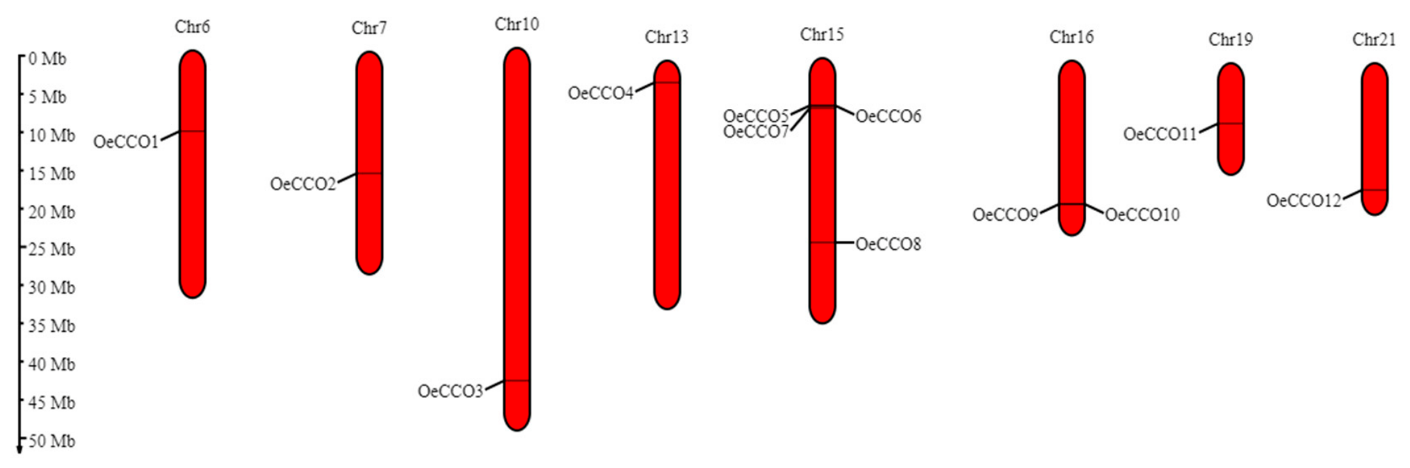 Genes 17 00903 g002 Genes 17 00903 g002