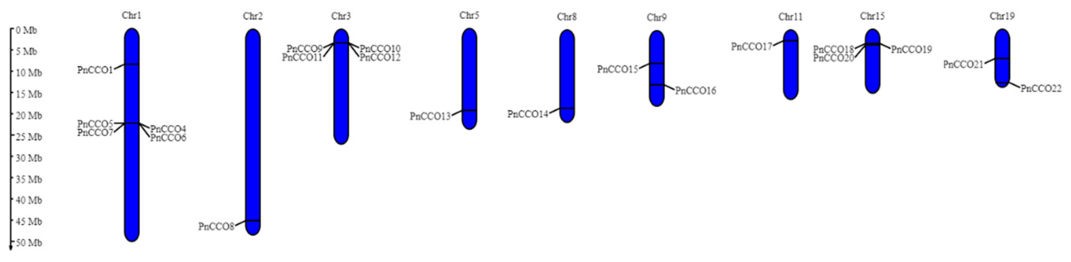Genes 17 00903 g003 Genes 17 00903 g003