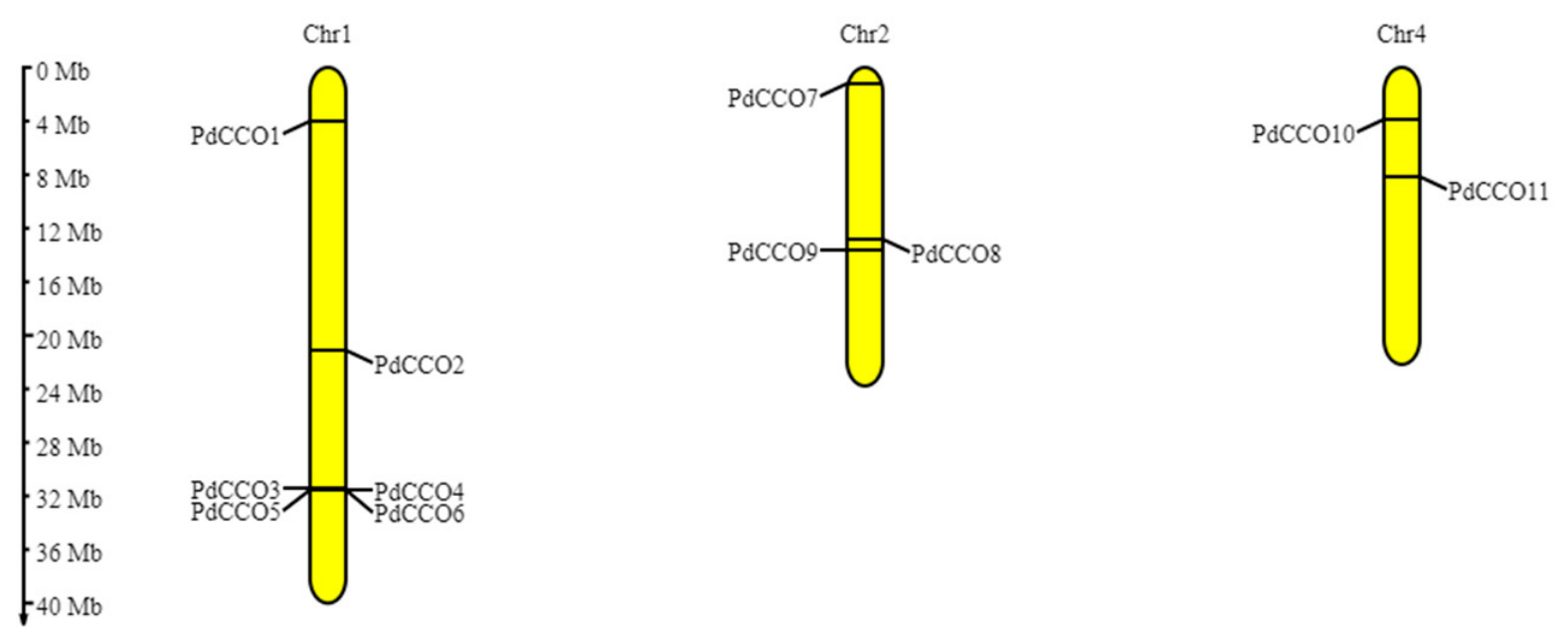 Genes 17 00903 g004 Genes 17 00903 g004
