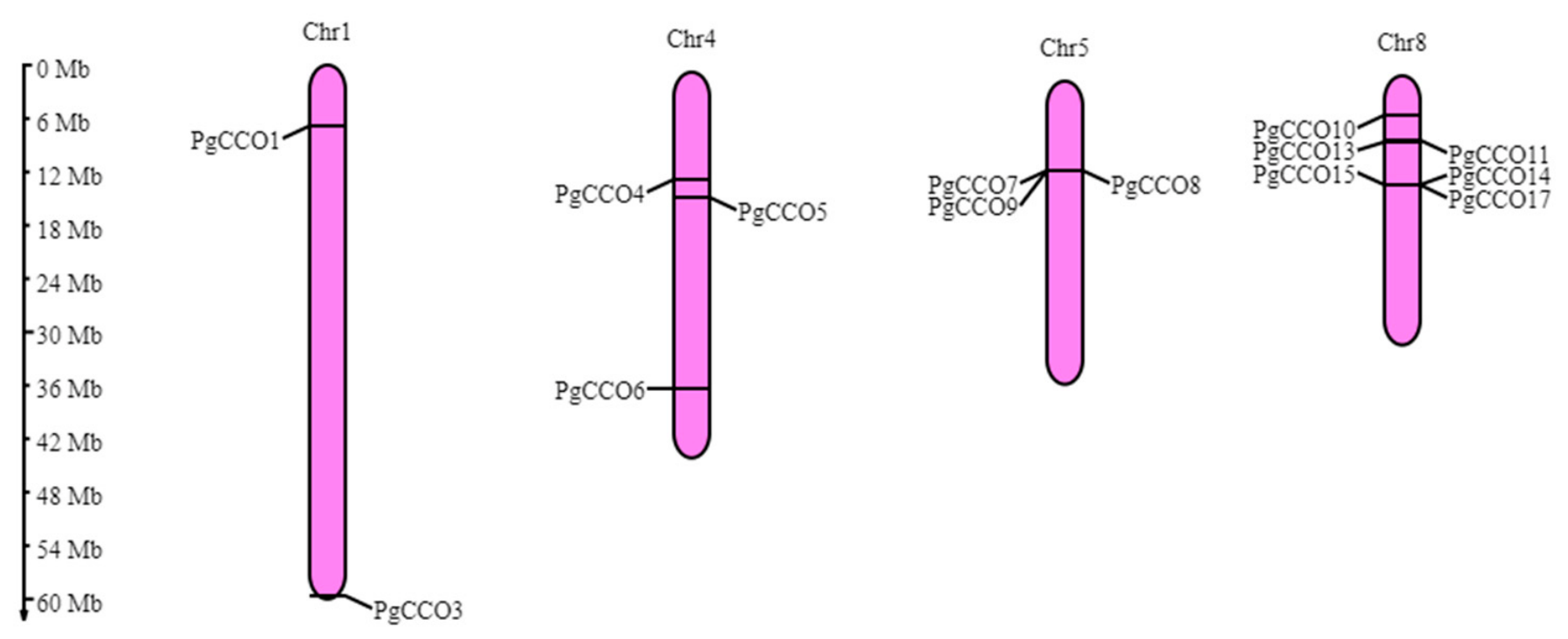 Genes 17 00903 g005 Genes 17 00903 g005