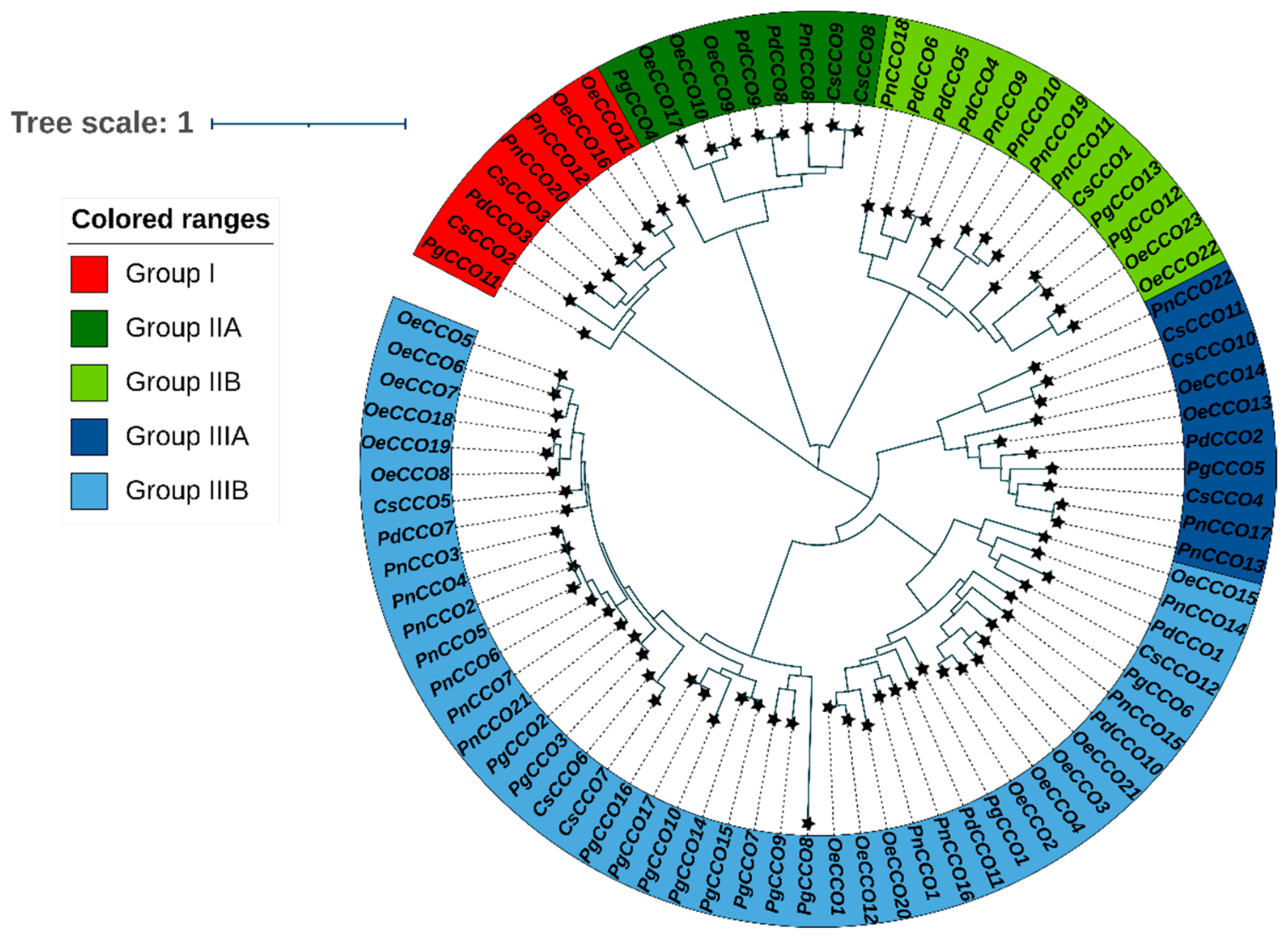 Genes 17 00903 g006 Genes 17 00903 g006