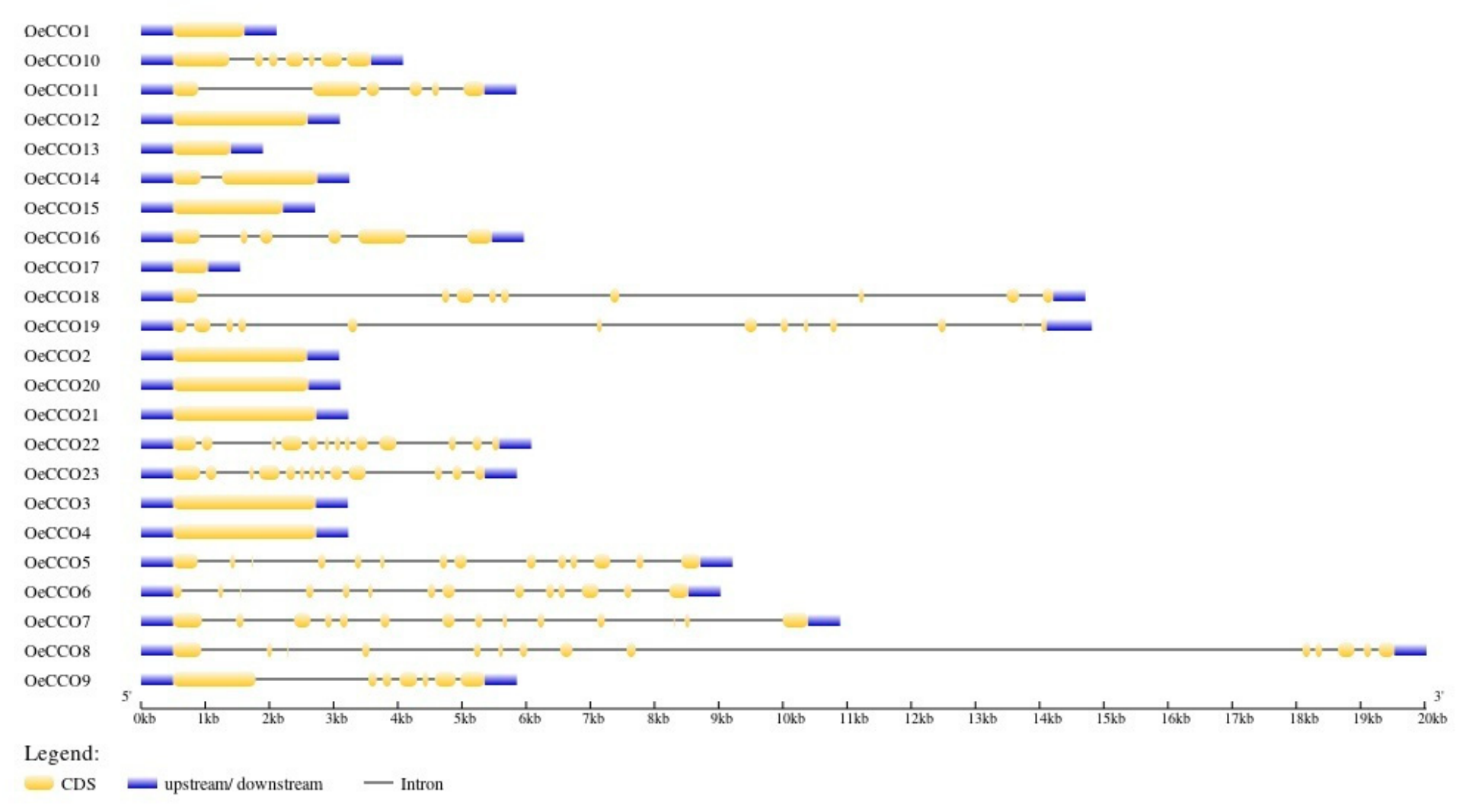 Genes 17 00903 g008 Genes 17 00903 g008