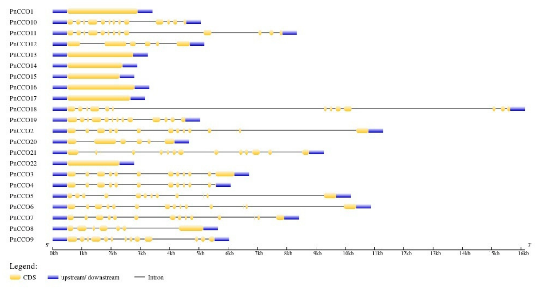Genes 17 00903 g009 Genes 17 00903 g009