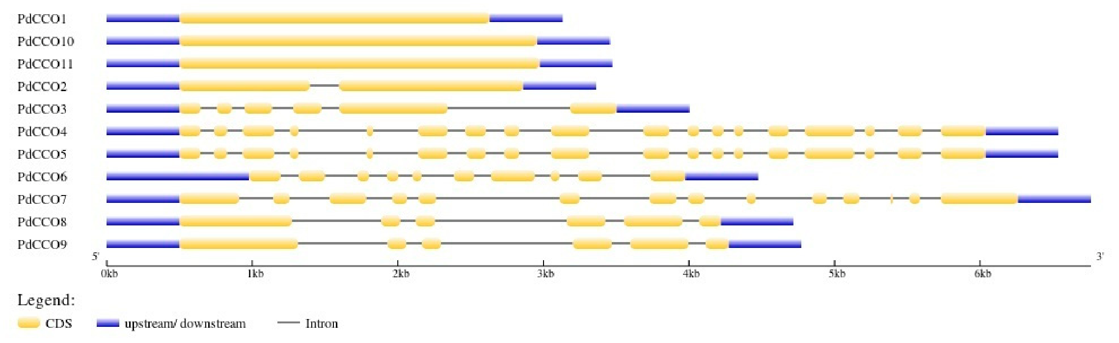 Genes 17 00903 g010 Genes 17 00903 g010