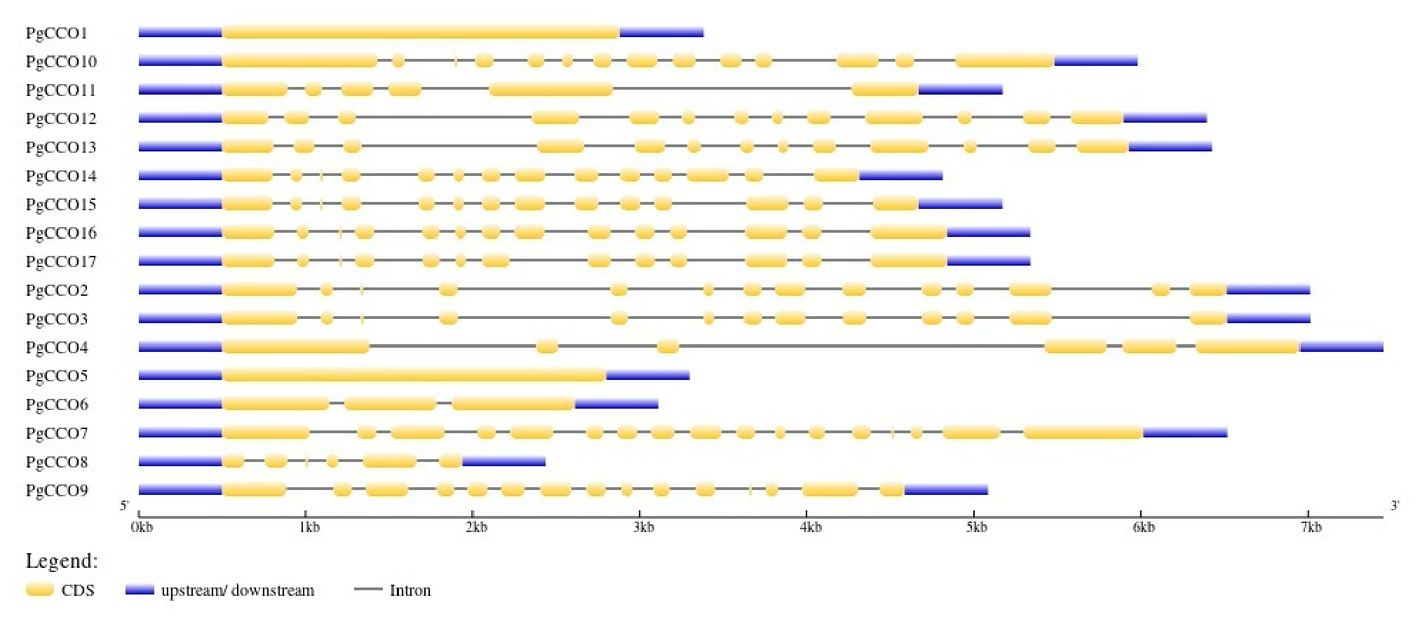 Genes 17 00903 g011 Genes 17 00903 g011