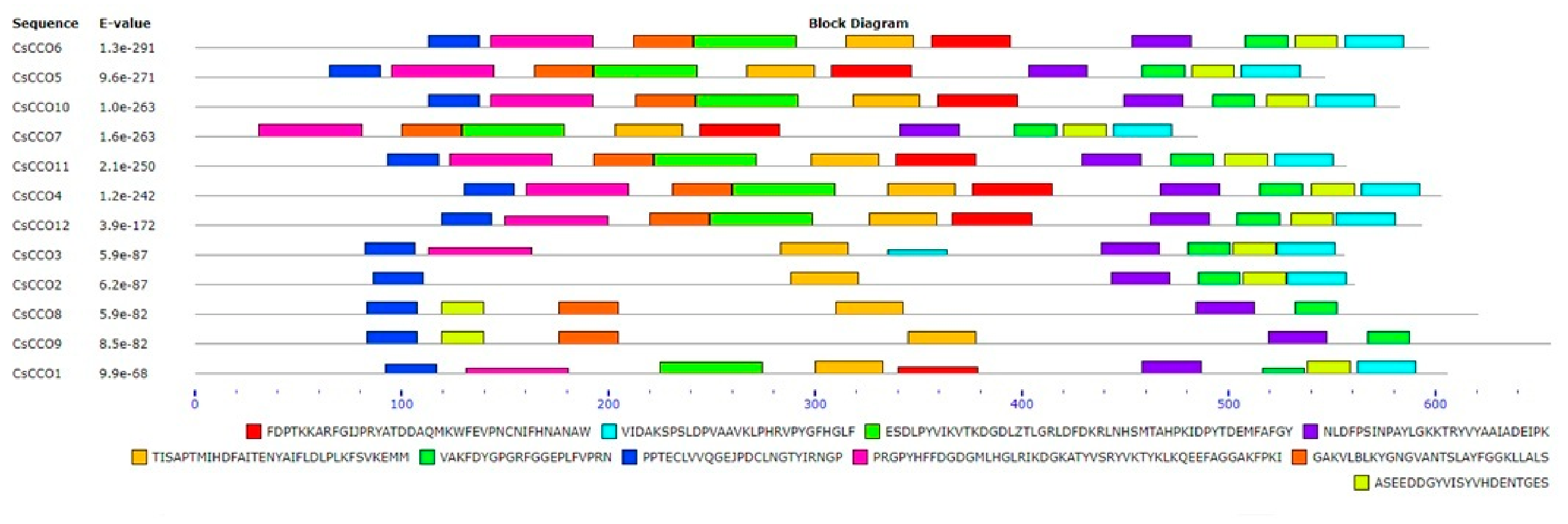 Genes 17 00903 g012 Genes 17 00903 g012
