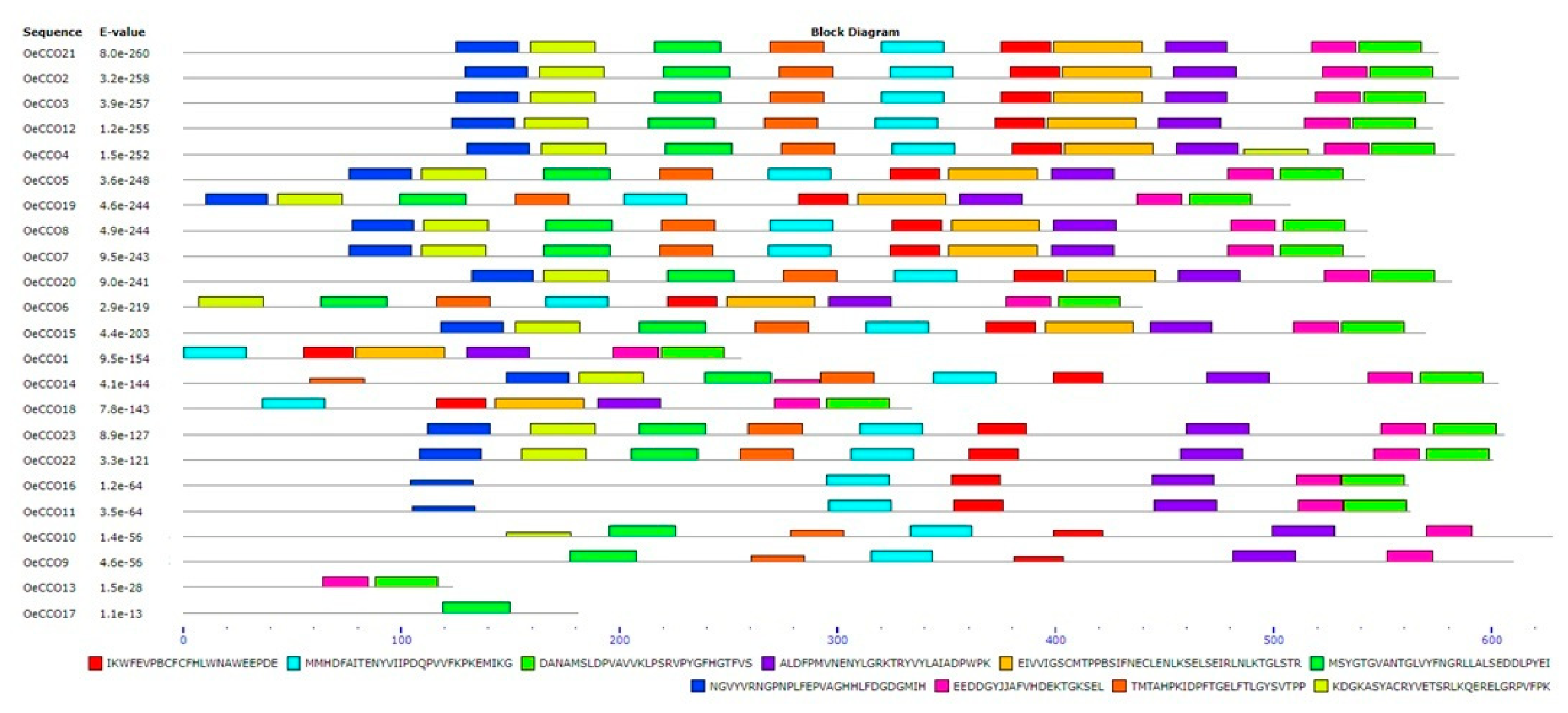 Genes 17 00903 g013 Genes 17 00903 g013