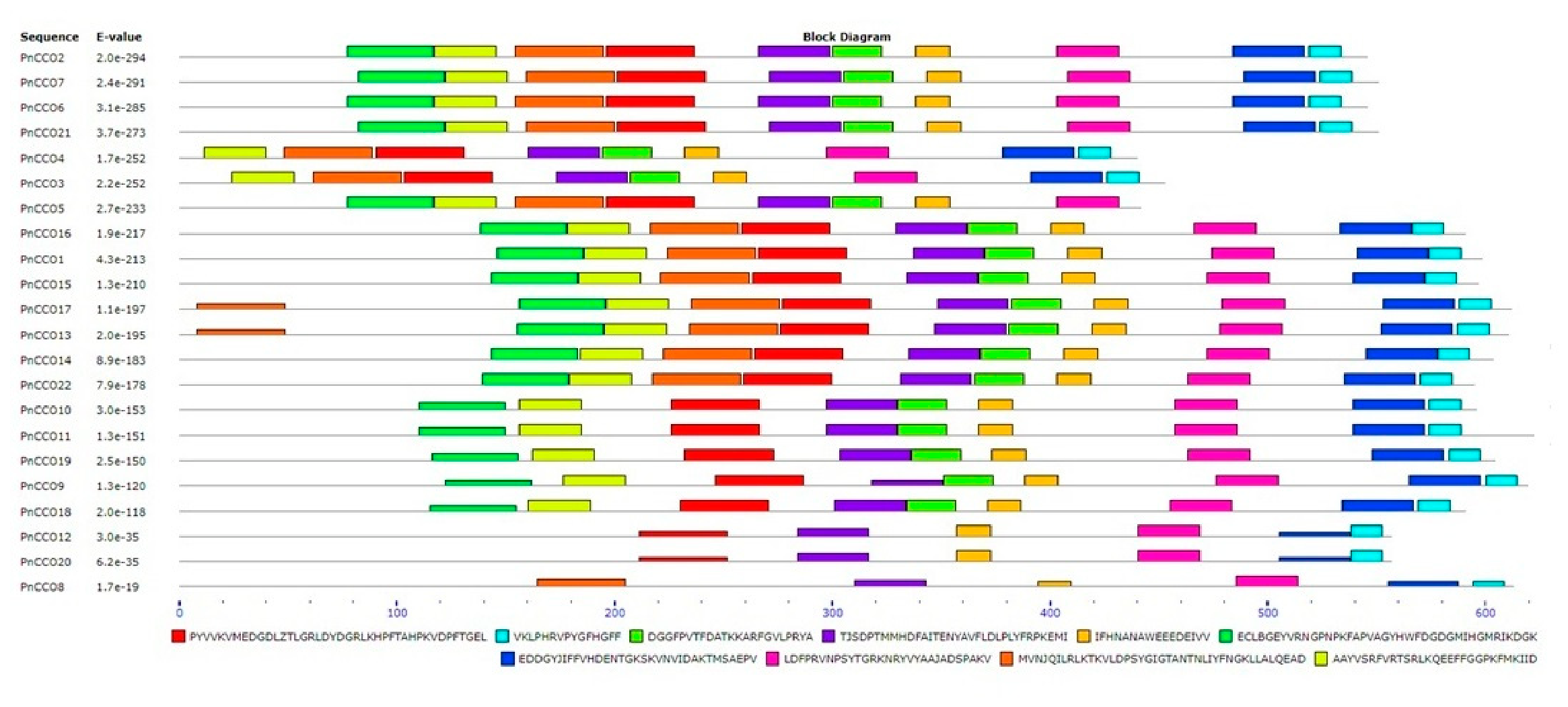 Genes 17 00903 g014 Genes 17 00903 g014