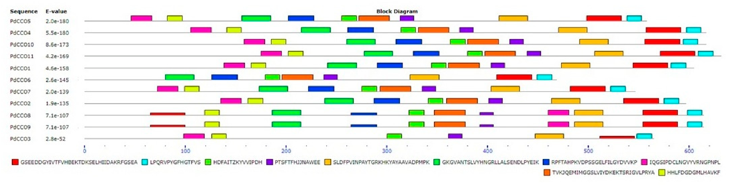 Genes 17 00903 g015 Genes 17 00903 g015