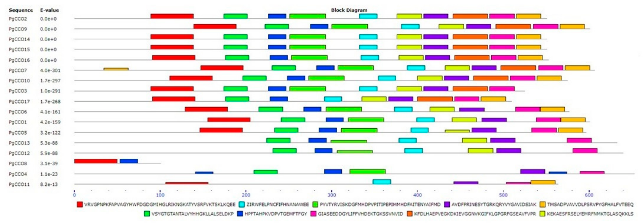 Genes 17 00903 g016 Genes 17 00903 g016