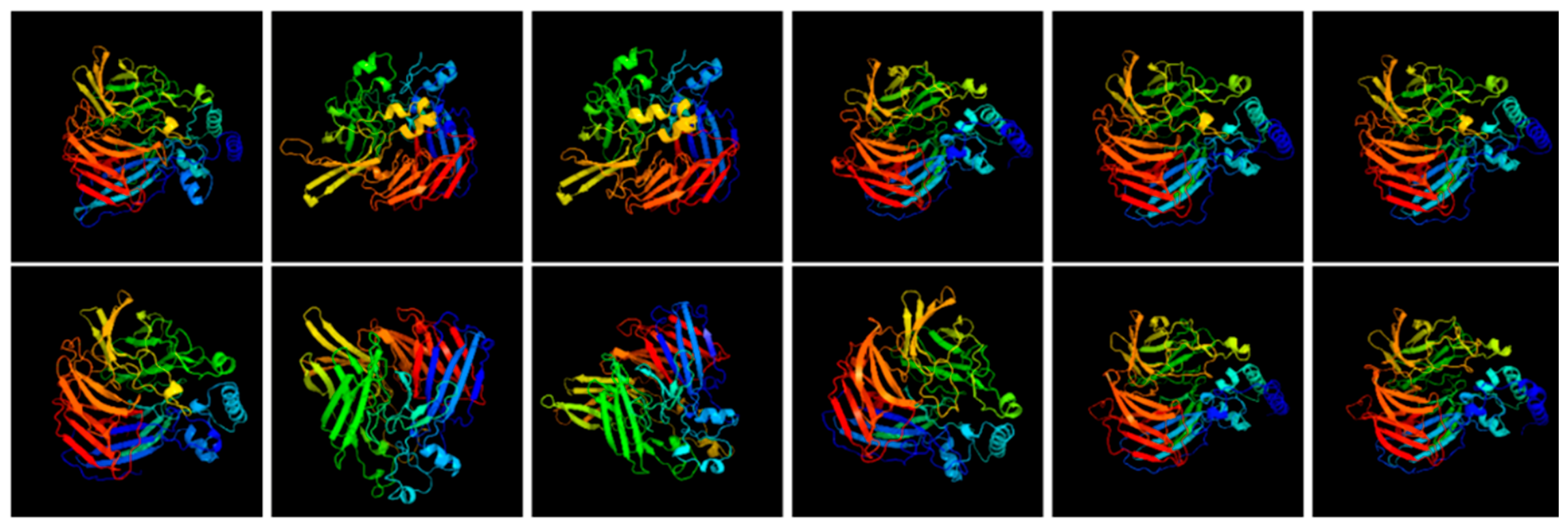 Genes 17 00903 g017 Genes 17 00903 g017