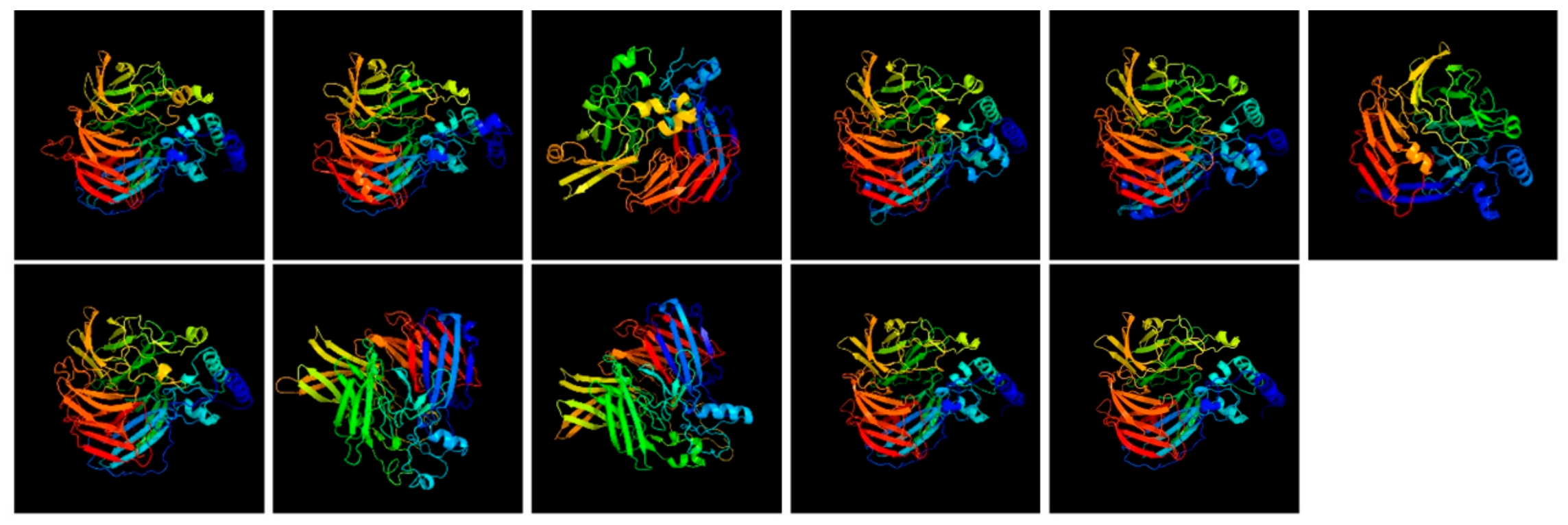 Genes 17 00903 g020 Genes 17 00903 g020
