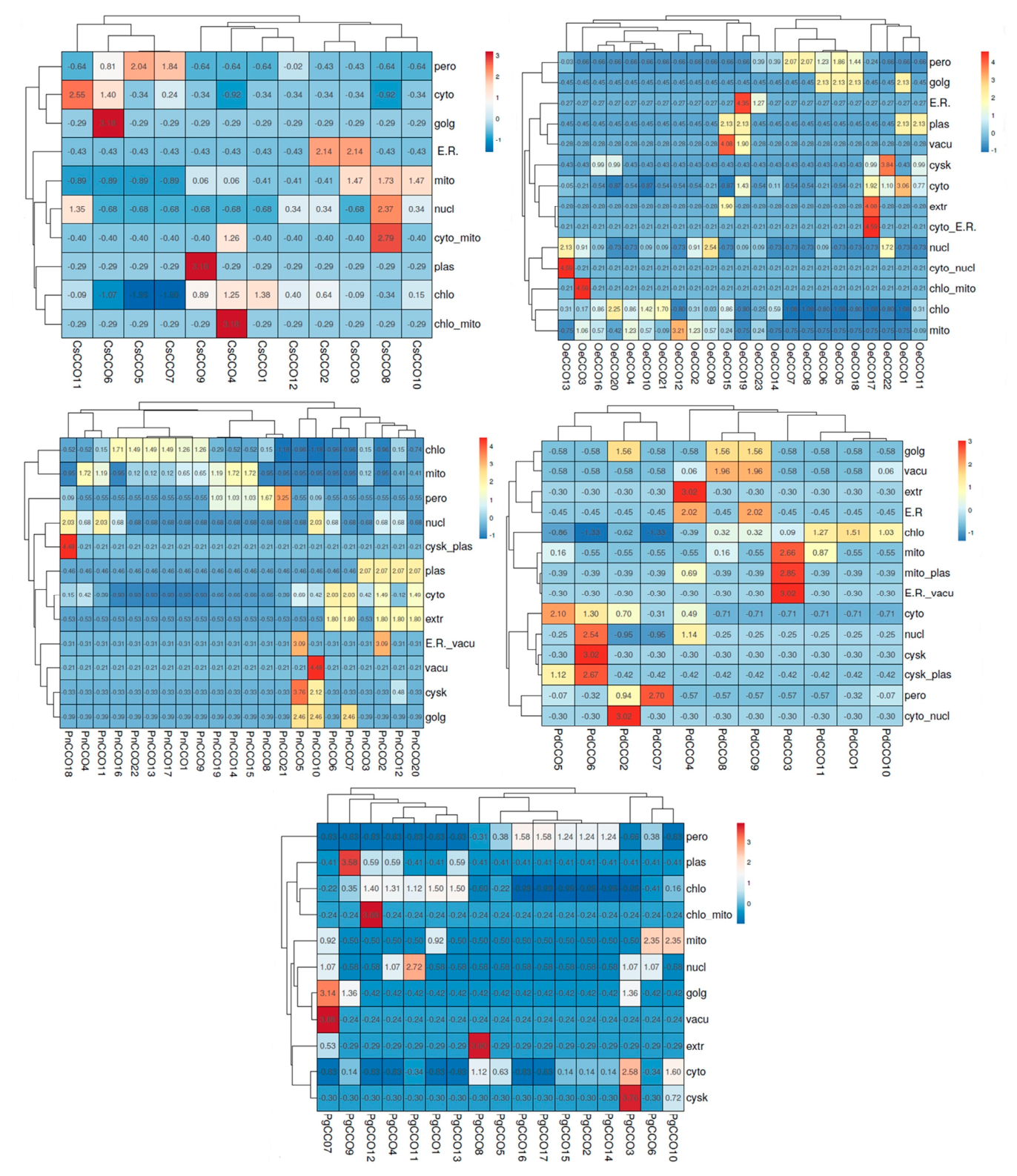 Genes 17 00903 g022 Genes 17 00903 g022