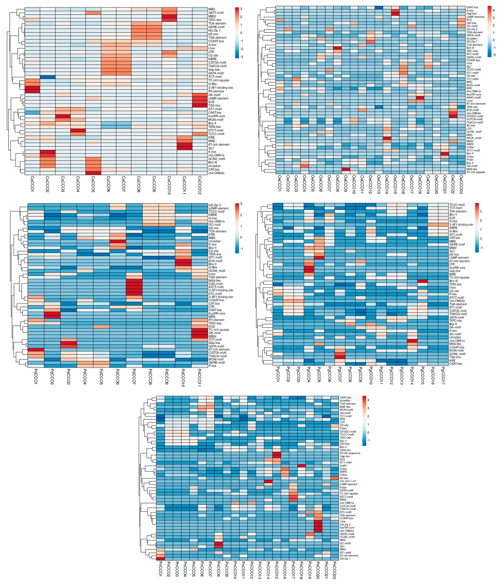 Genes 17 00903 g023 Genes 17 00903 g023